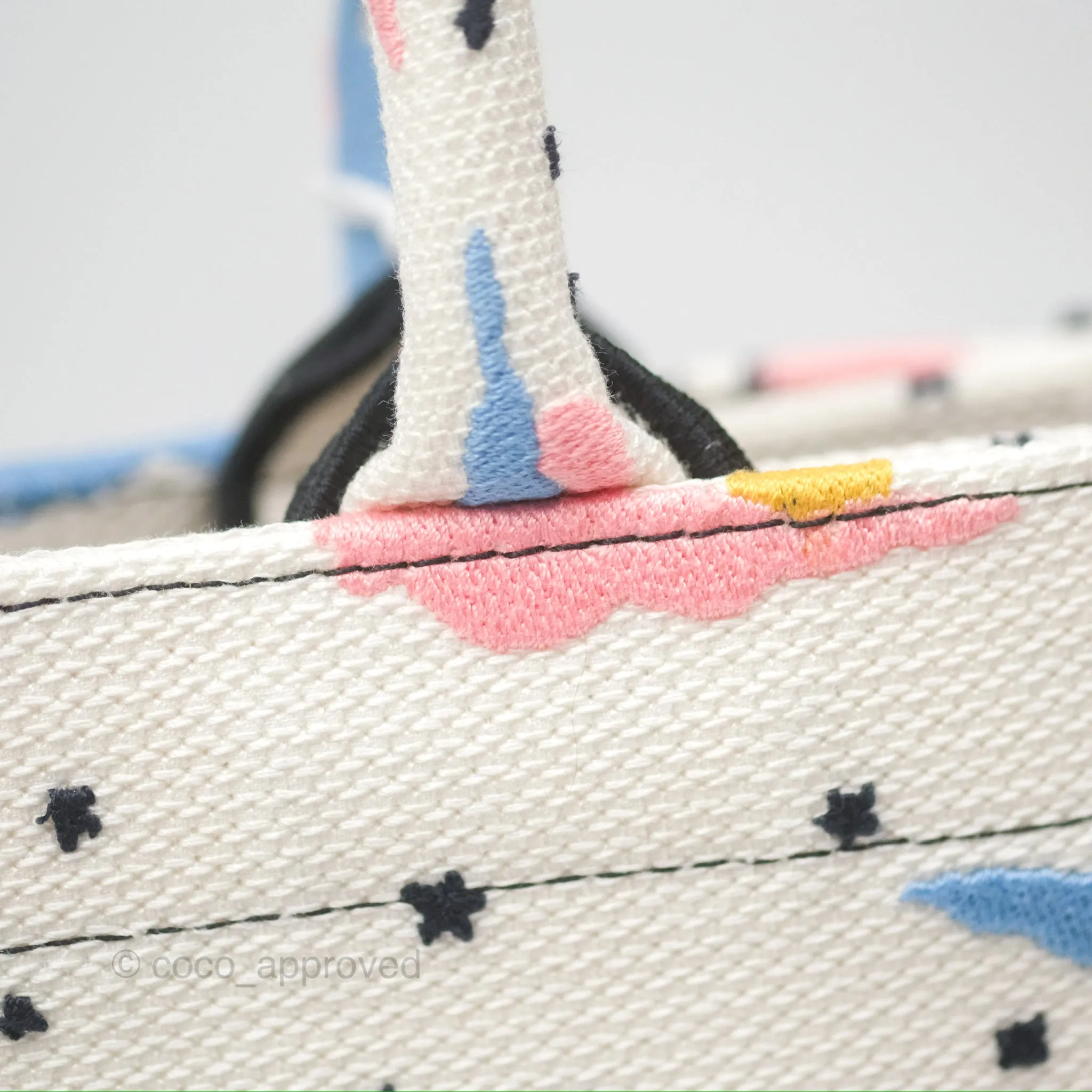 Christian Dior Small Book Tote Dior Latte Ciel de Rve Embroidery