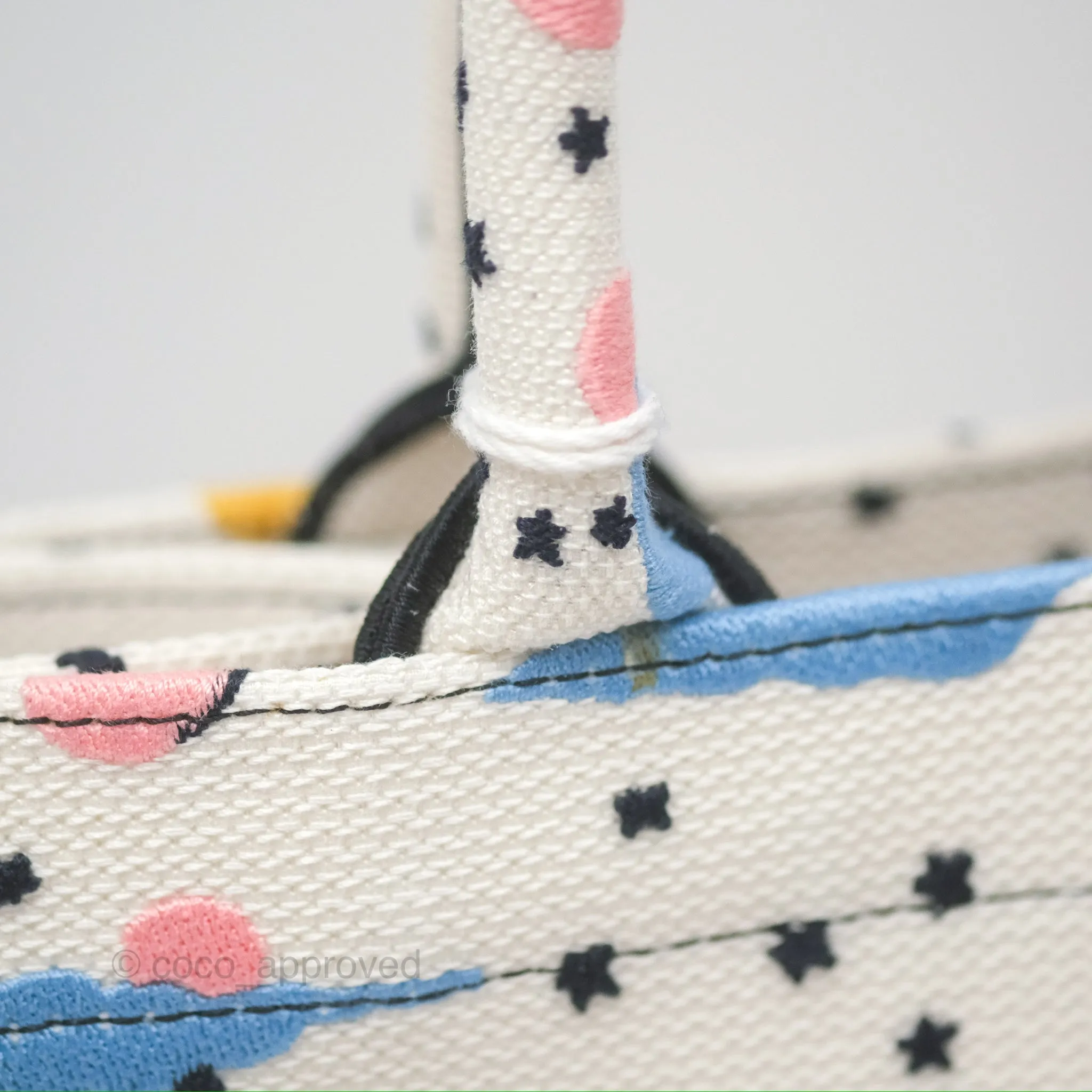 Christian Dior Small Book Tote Dior Latte Ciel de Rve Embroidery
