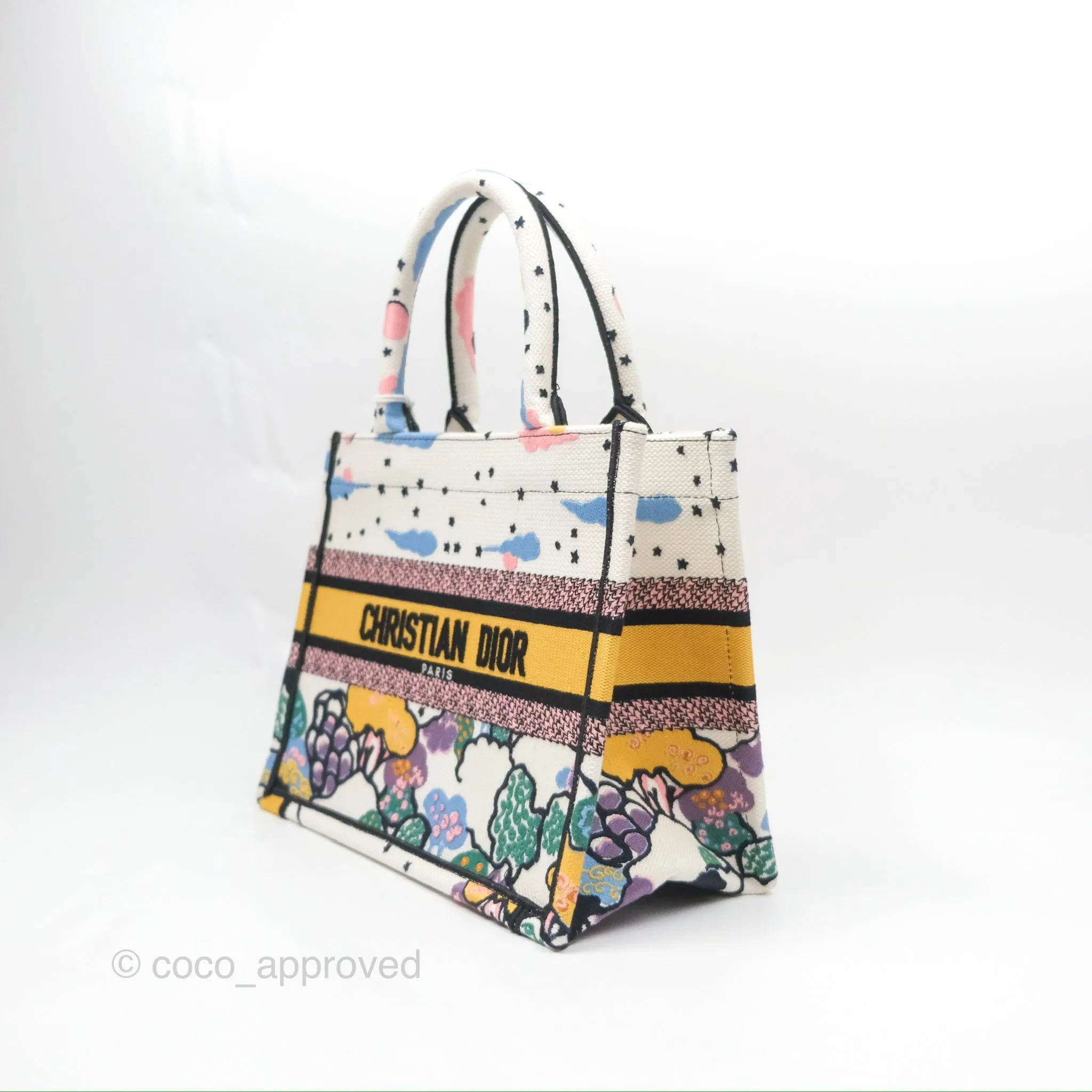 Christian Dior Small Book Tote Dior Latte Ciel de Rve Embroidery