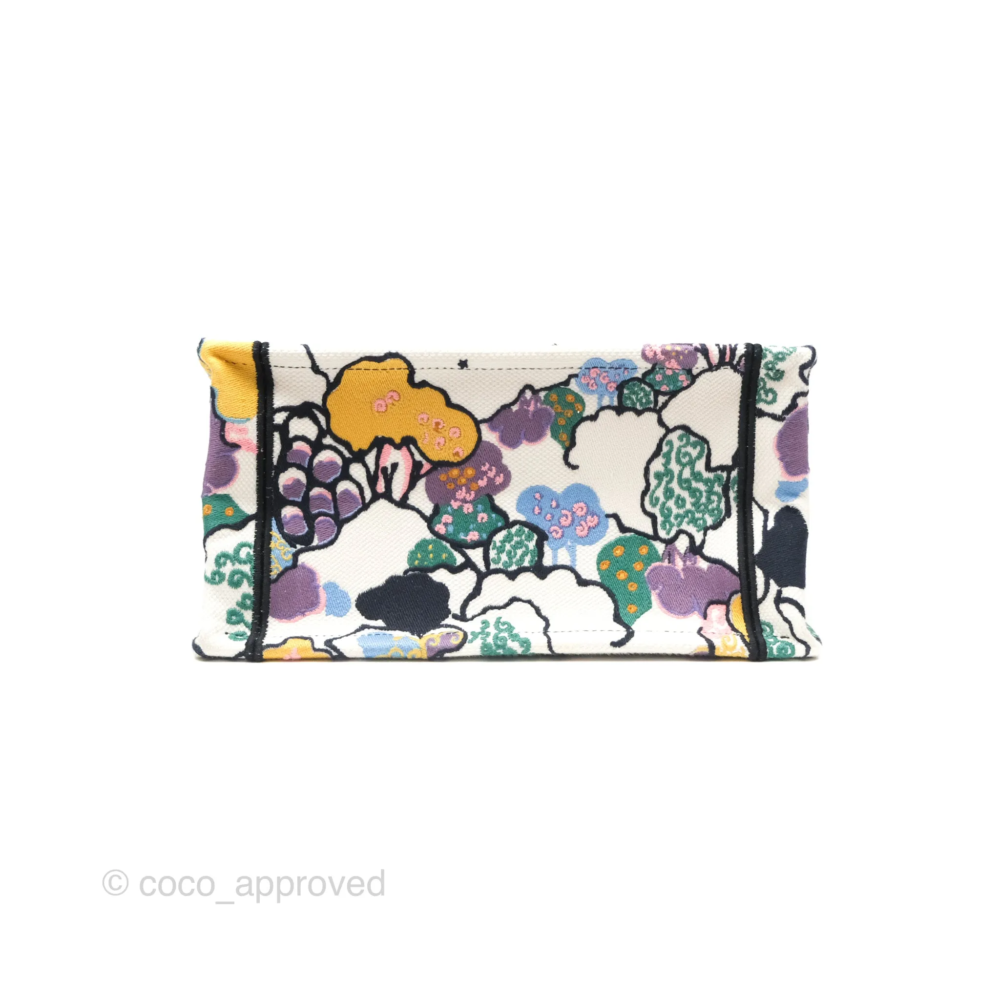 Christian Dior Small Book Tote Dior Latte Ciel de Rve Embroidery