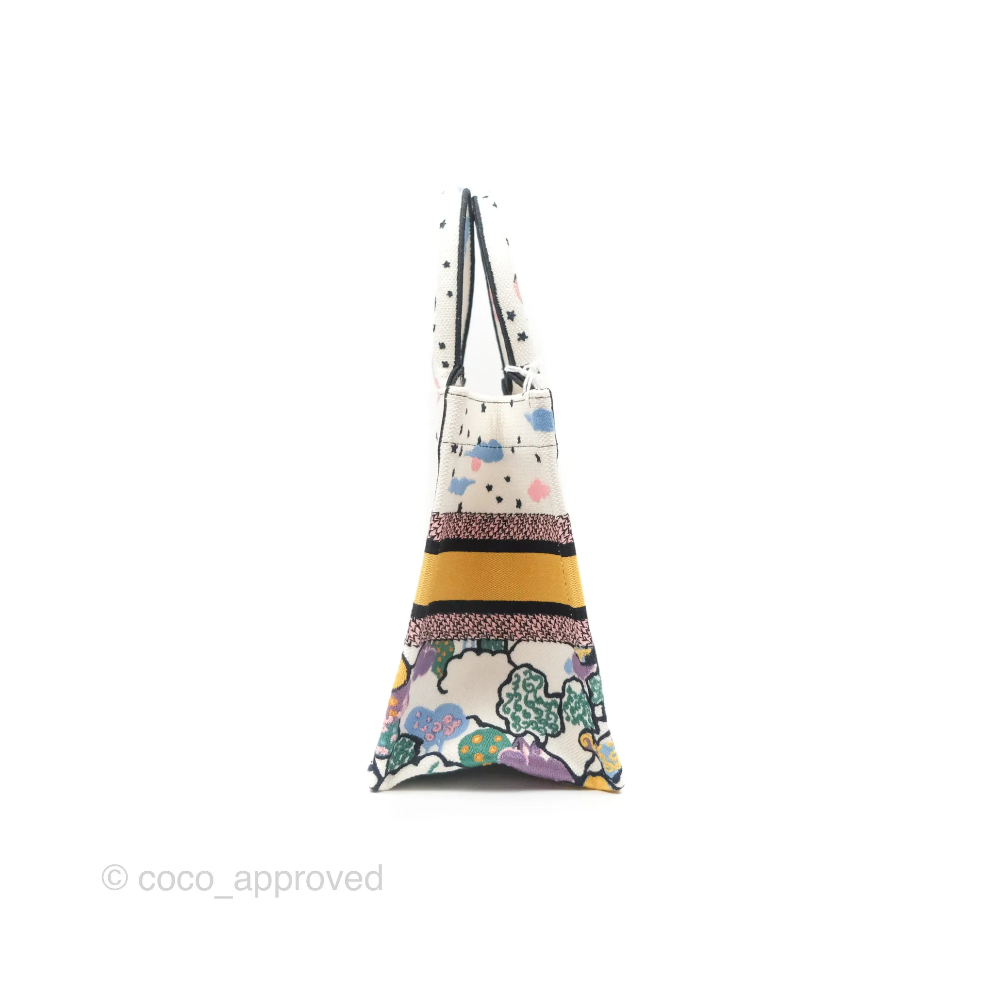Christian Dior Small Book Tote Dior Latte Ciel de Rve Embroidery