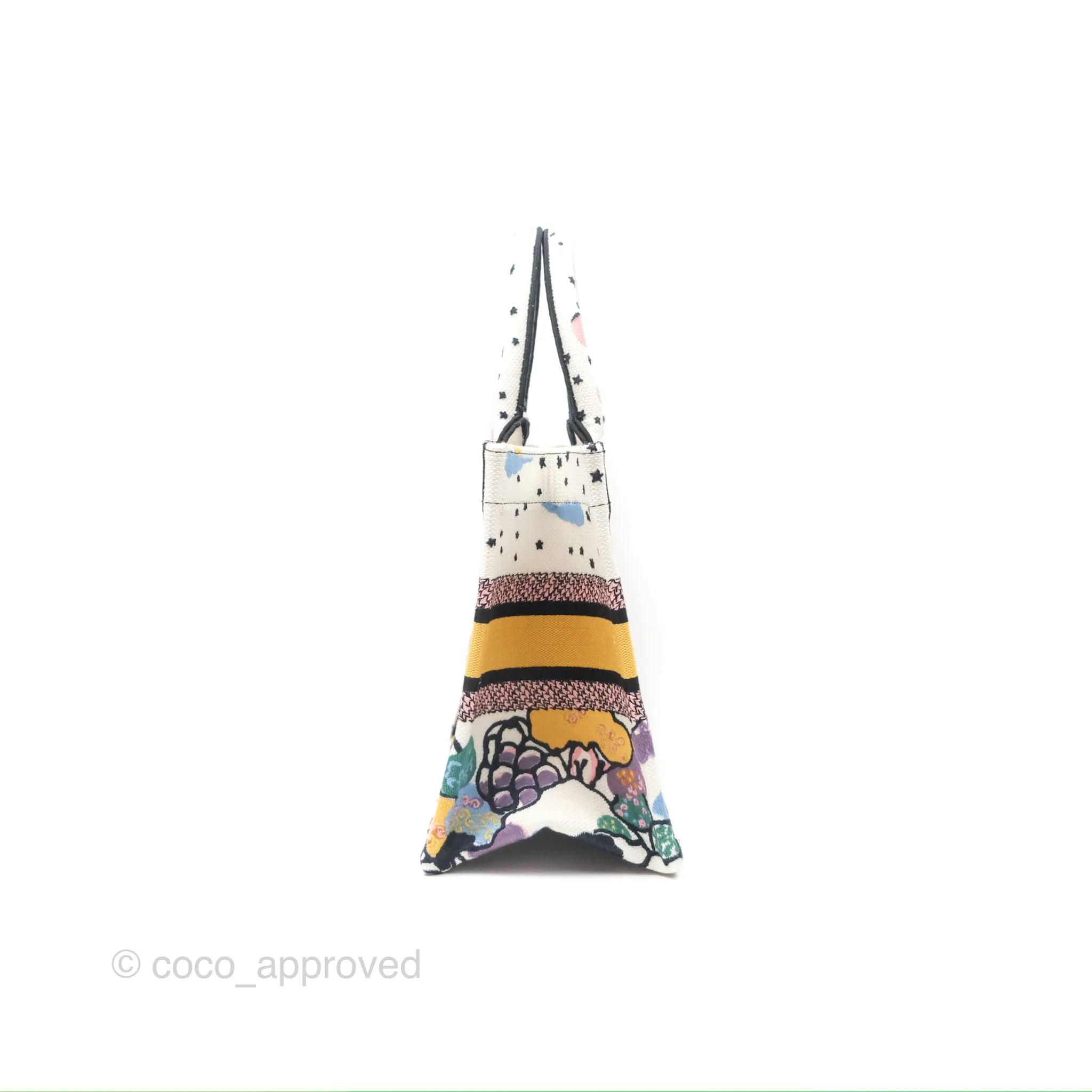 Christian Dior Small Book Tote Dior Latte Ciel de Rve Embroidery