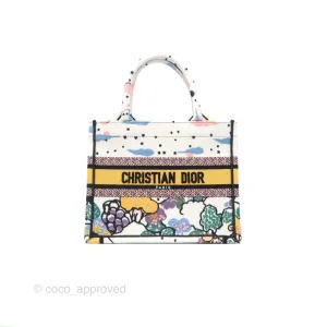Christian Dior Small Book Tote Dior Latte Ciel de Rve Embroidery