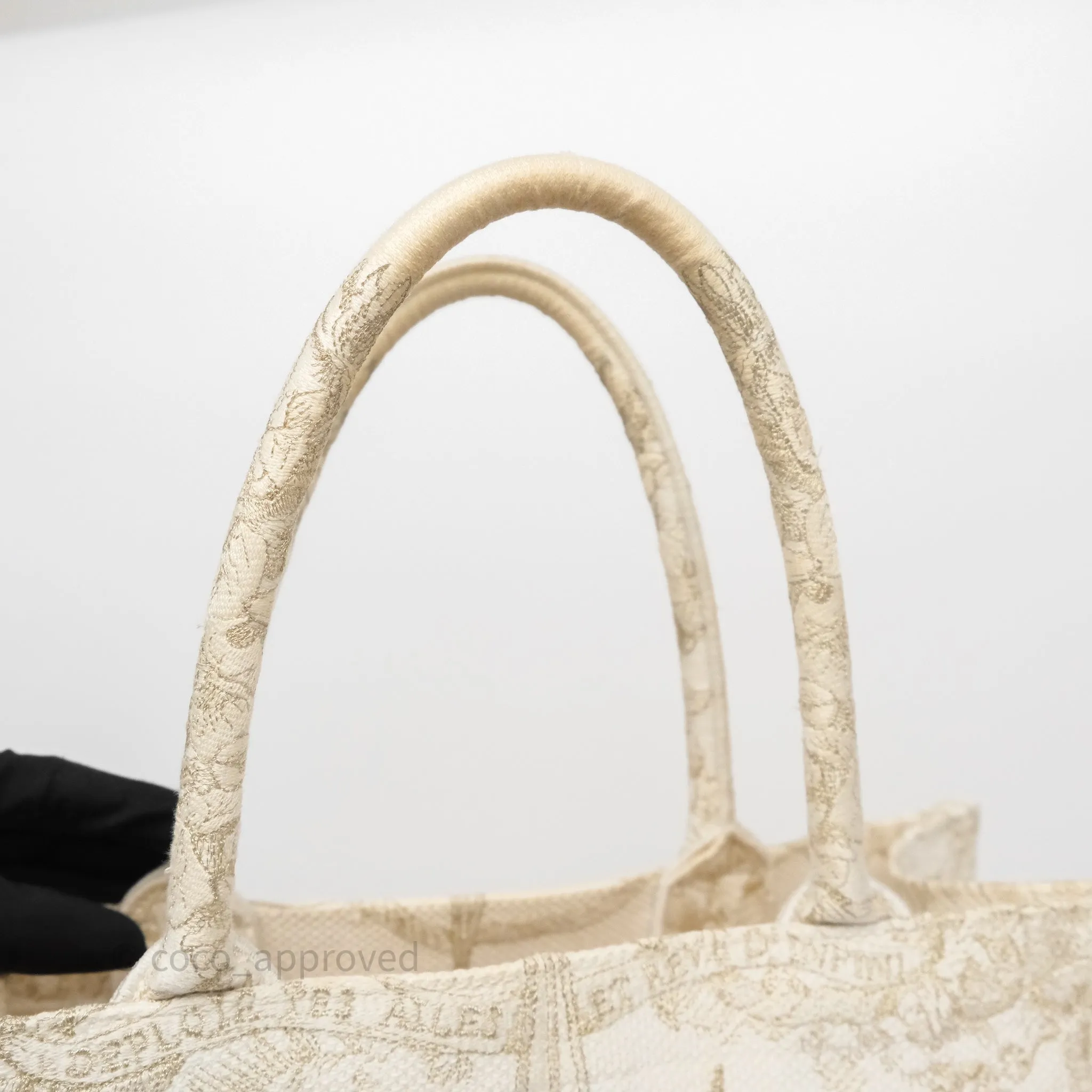Dior Medium Book Tote Dior Rve d'Infini Embroidery with Gold-Tone Metallic Thread