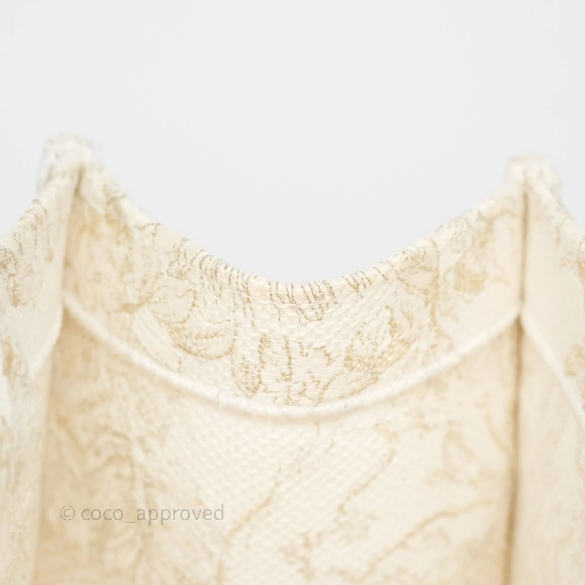Dior Medium Book Tote Dior Rve d'Infini Embroidery with Gold-Tone Metallic Thread