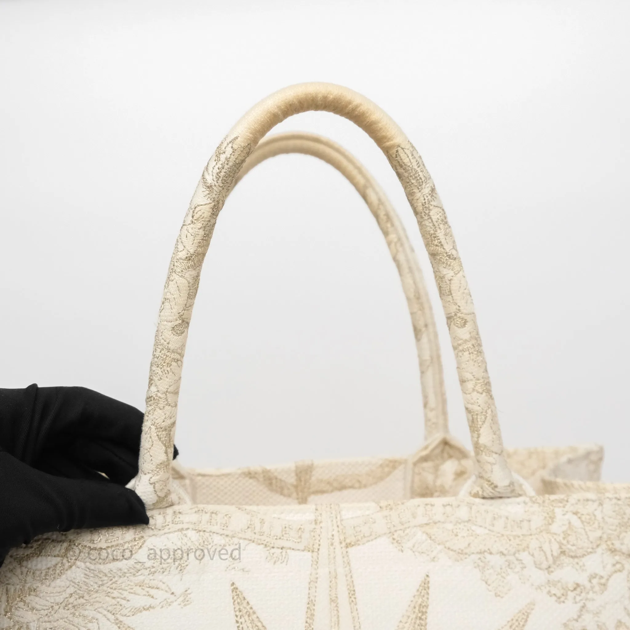 Dior Medium Book Tote Dior Rve d'Infini Embroidery with Gold-Tone Metallic Thread