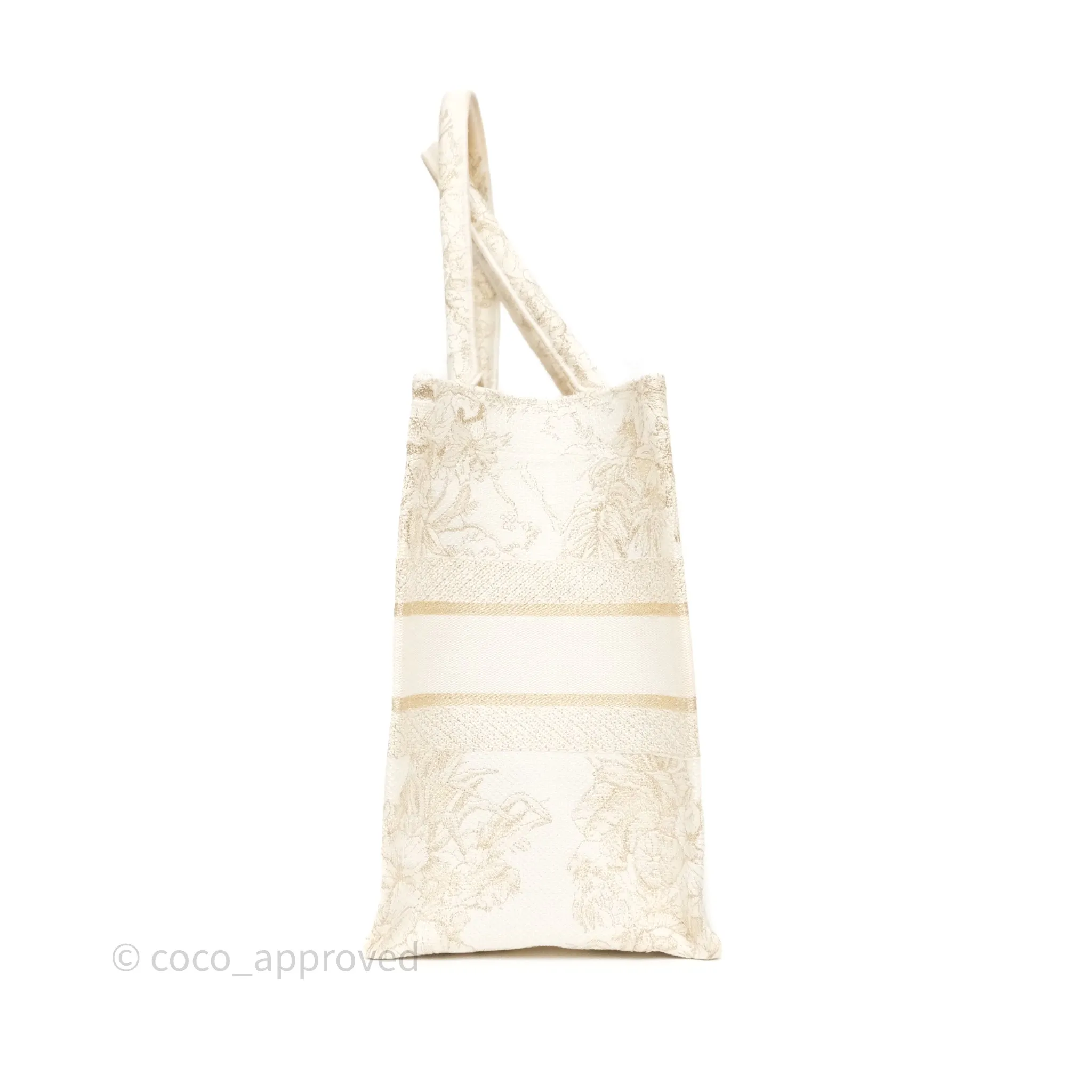 Dior Medium Book Tote Dior Rve d'Infini Embroidery with Gold-Tone Metallic Thread