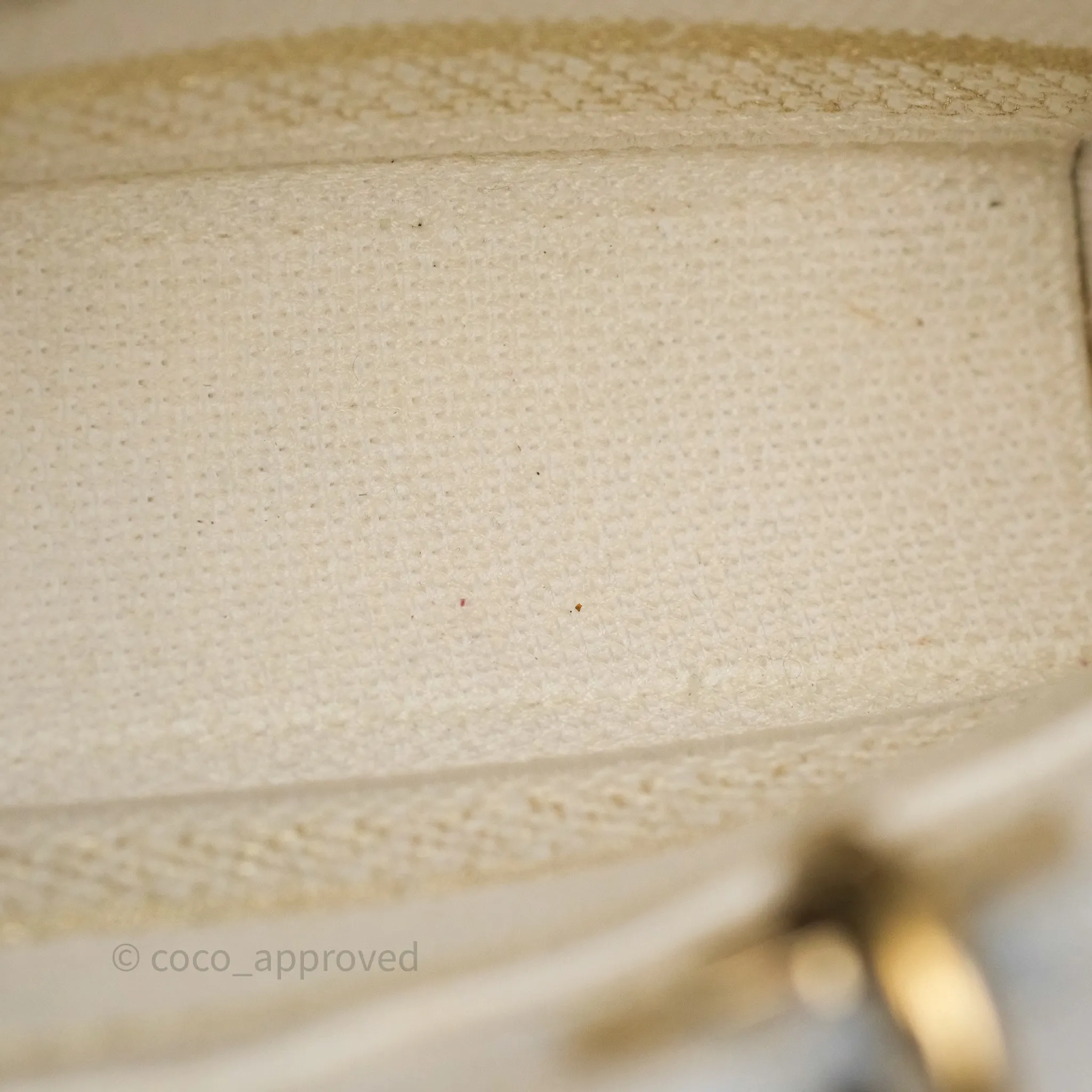 Dior Medium Lady D-Joy Bag Dior Jardin d'Hiver Embroidery White