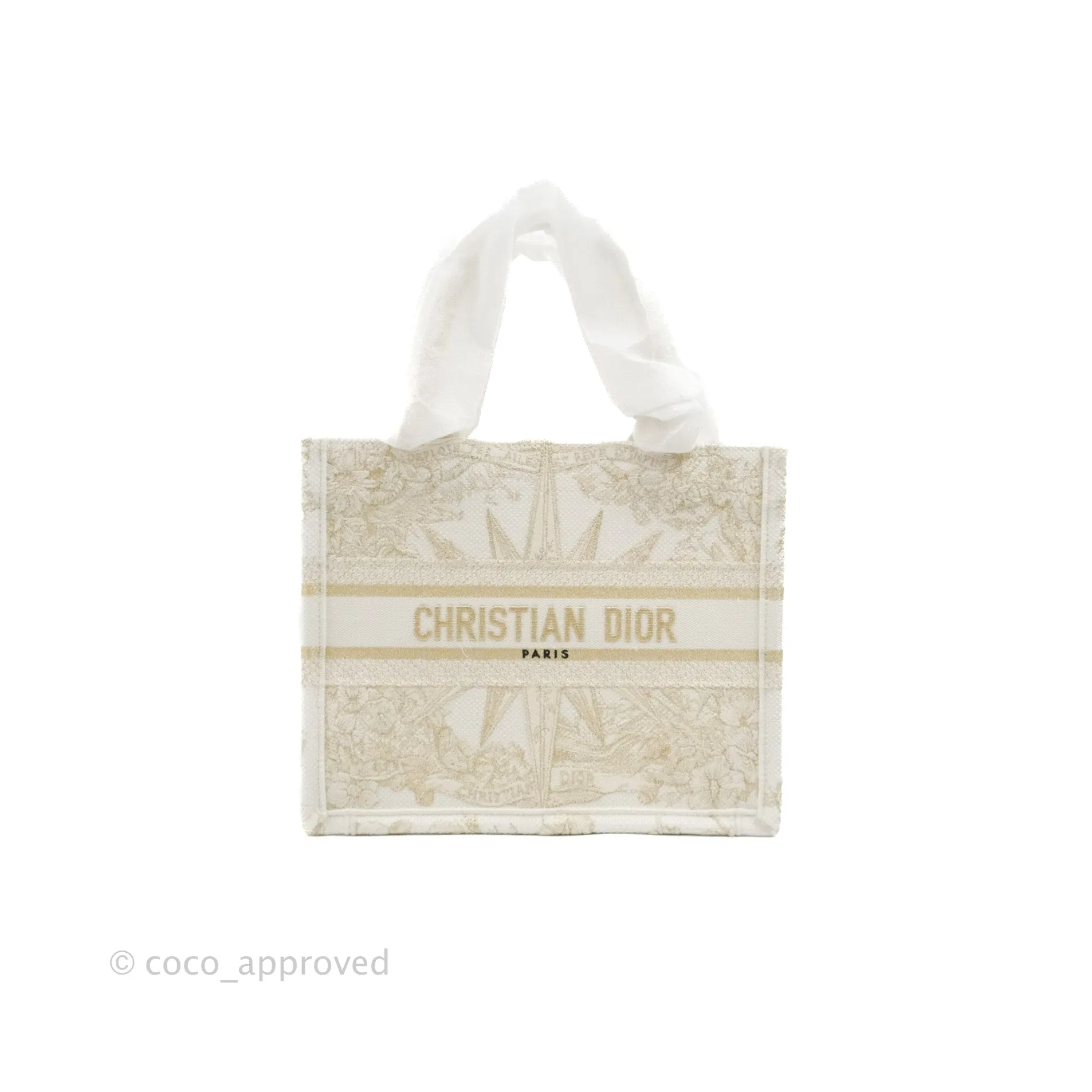 Dior Small Book Tote Dior Rve d'Infini Embroidery with Gold-Tone Metallic Thread