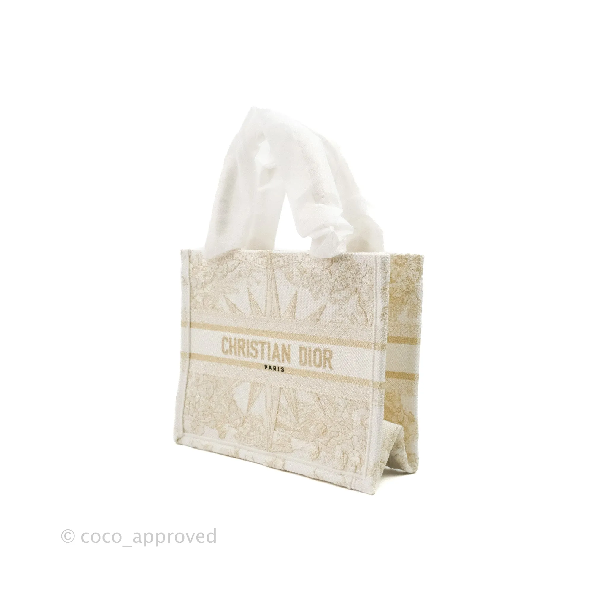 Dior Small Book Tote Dior Rve d'Infini Embroidery with Gold-Tone Metallic Thread