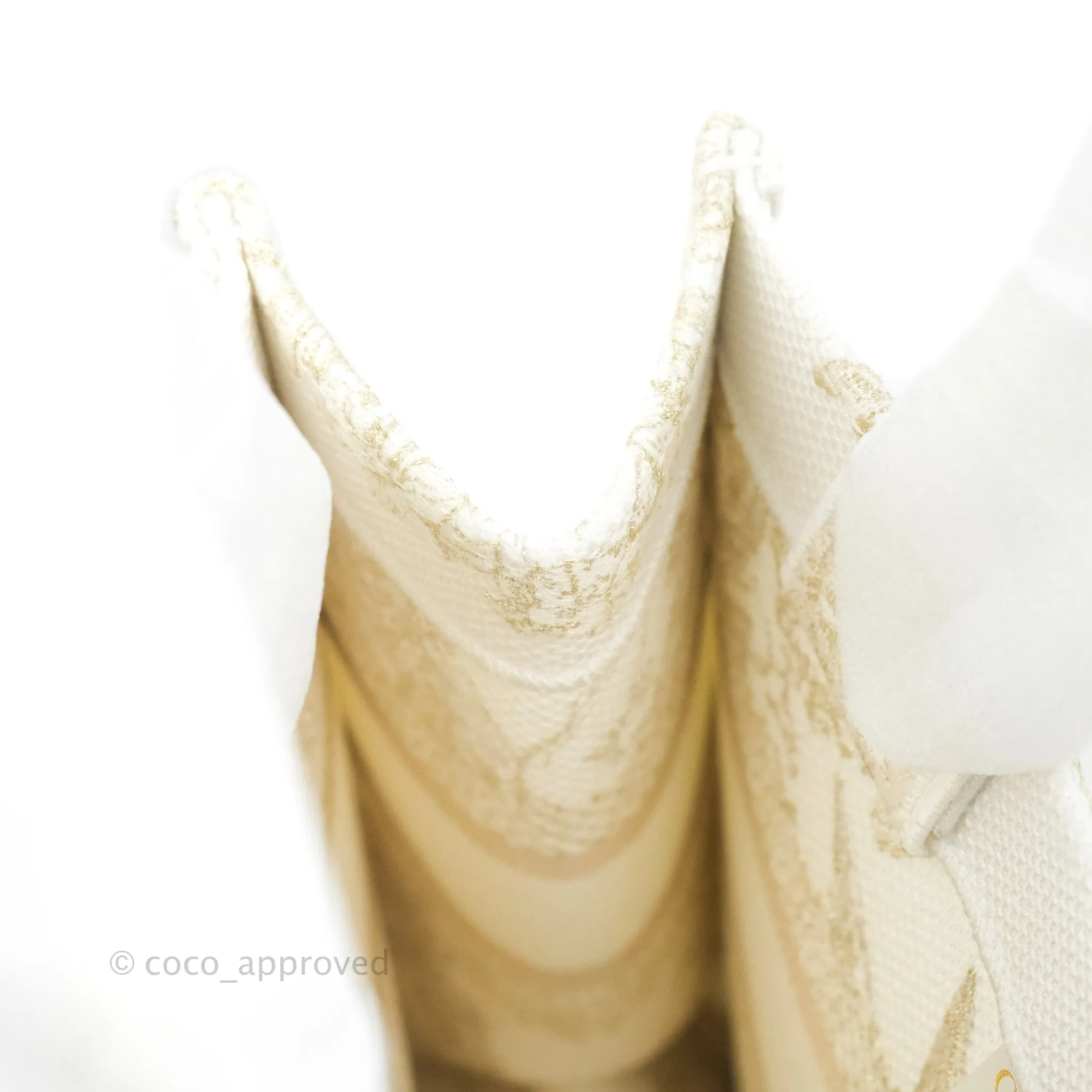 Dior Small Book Tote Dior Rve d'Infini Embroidery with Gold-Tone Metallic Thread