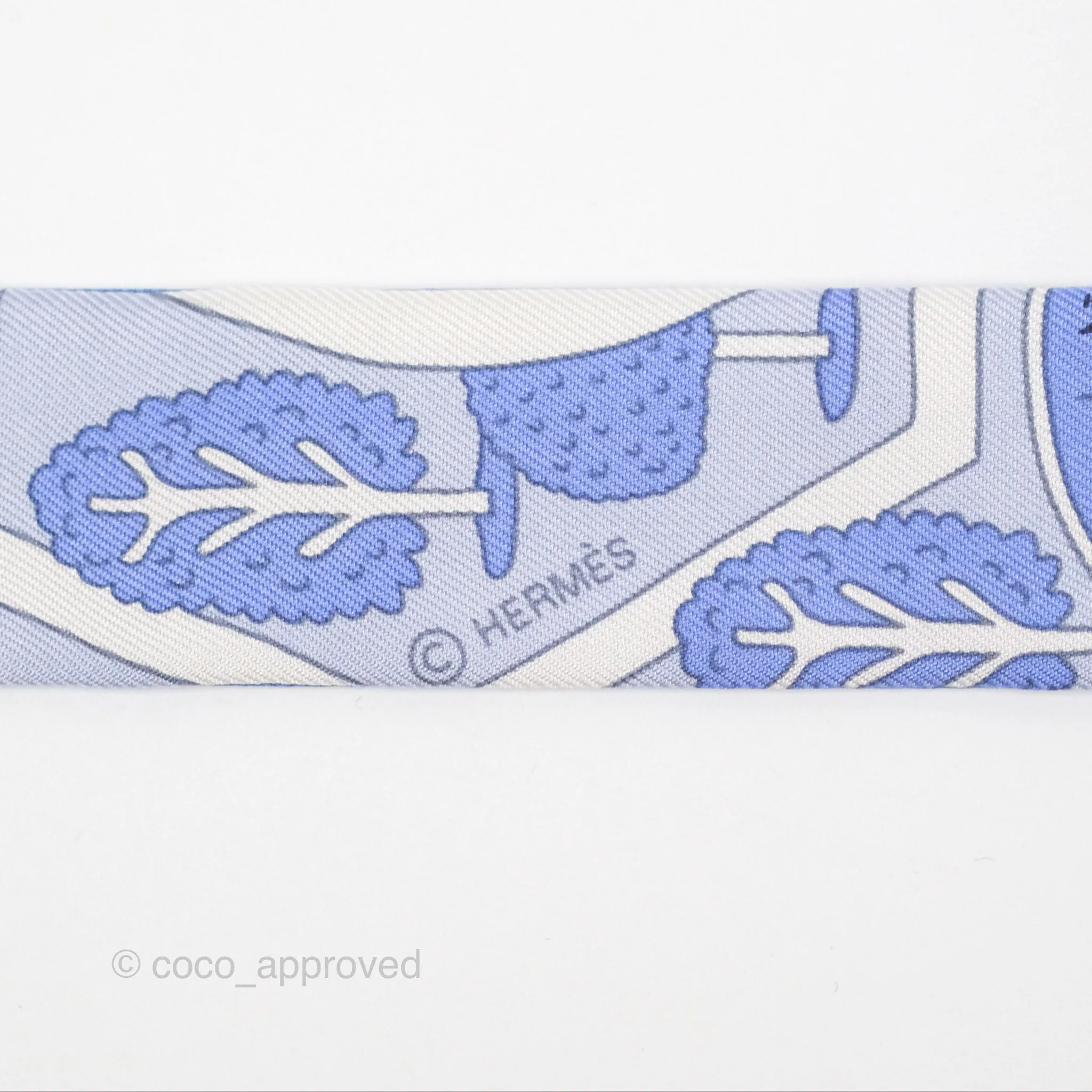 Hermes Blue Twillon