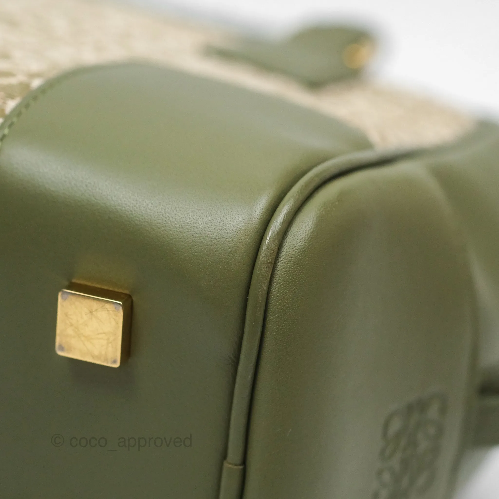 Loewe Amazona 19 Square Green/ Avocado Green in Anagram Jacquard and Calfskin