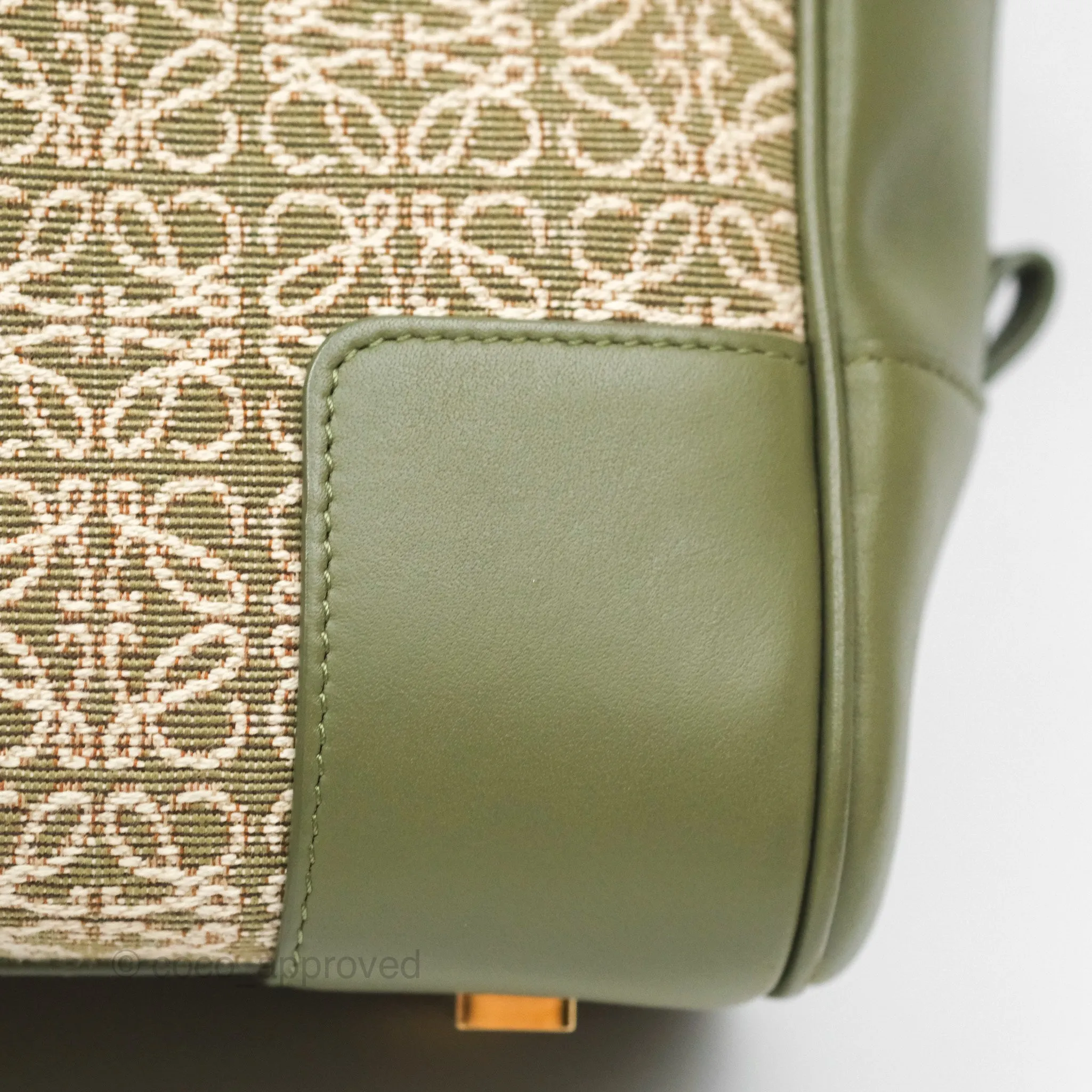 Loewe Amazona 19 Square Green/ Avocado Green in Anagram Jacquard and Calfskin