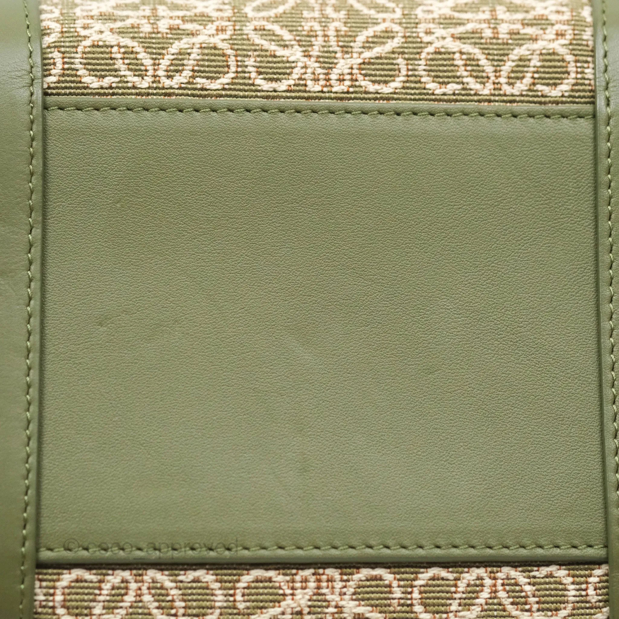 Loewe Amazona 19 Square Green/ Avocado Green in Anagram Jacquard and Calfskin
