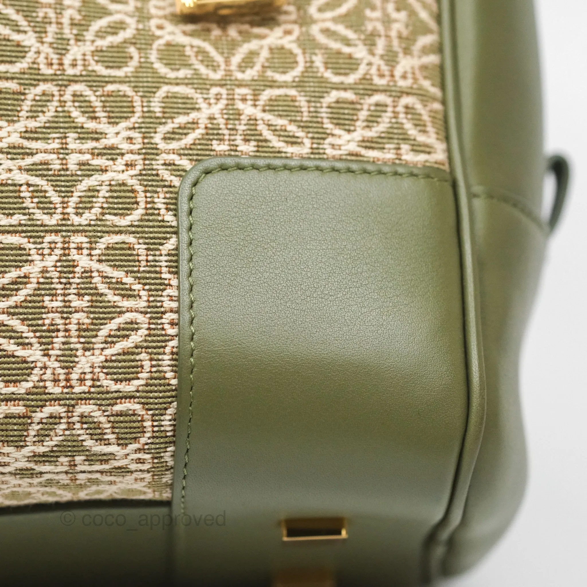 Loewe Amazona 19 Square Green/ Avocado Green in Anagram Jacquard and Calfskin
