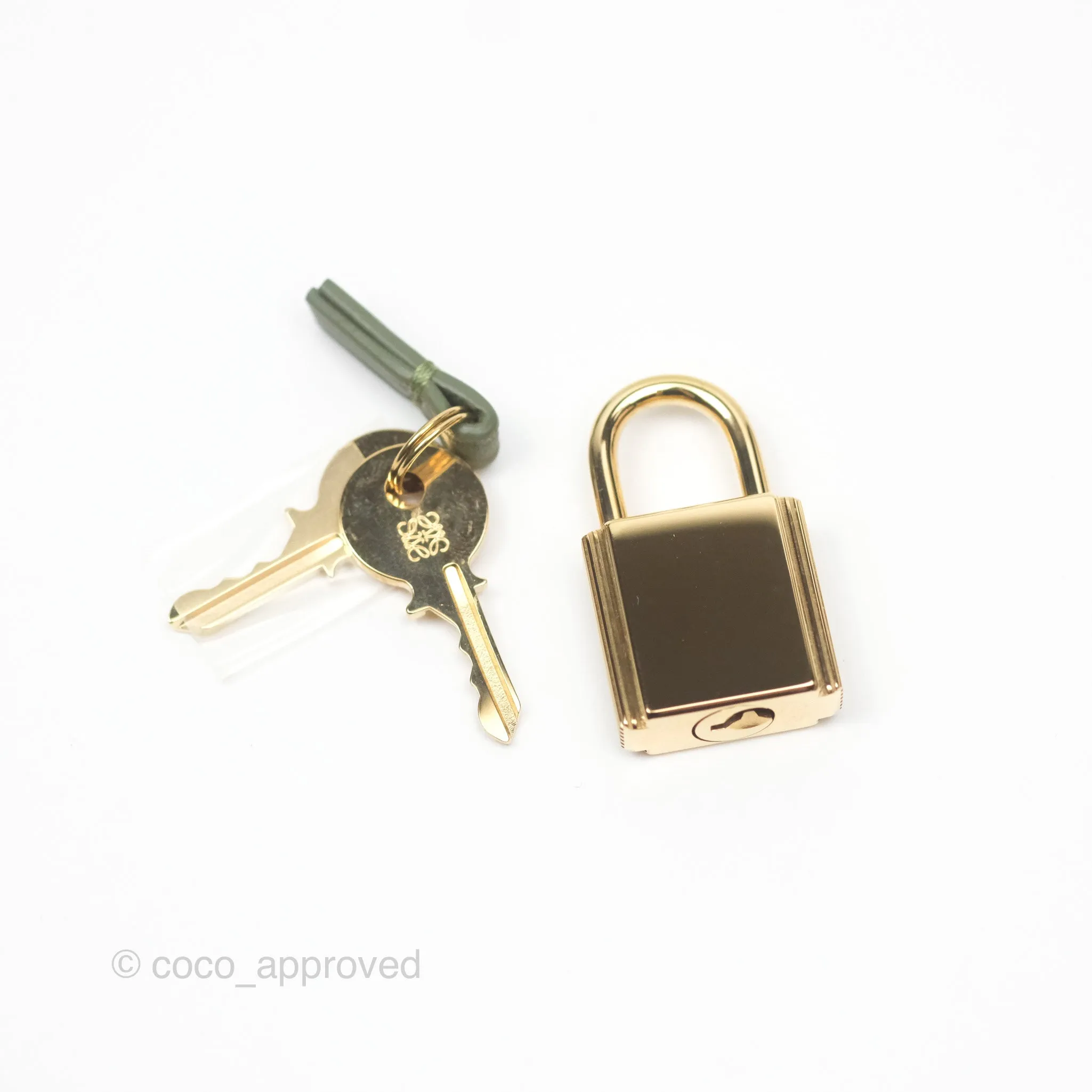 Loewe Amazona 19 Square Green/ Avocado Green in Anagram Jacquard and Calfskin