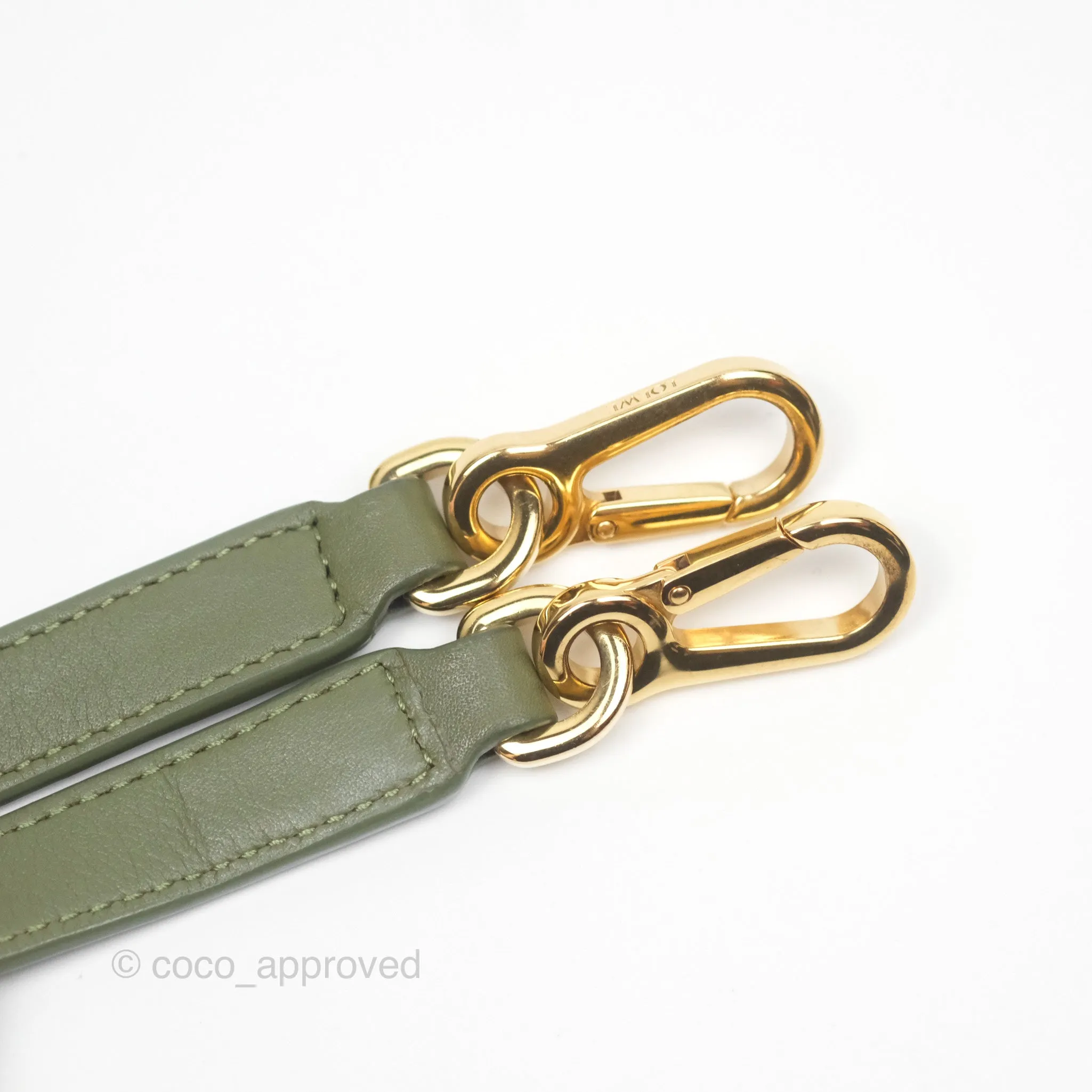 Loewe Amazona 19 Square Green/ Avocado Green in Anagram Jacquard and Calfskin