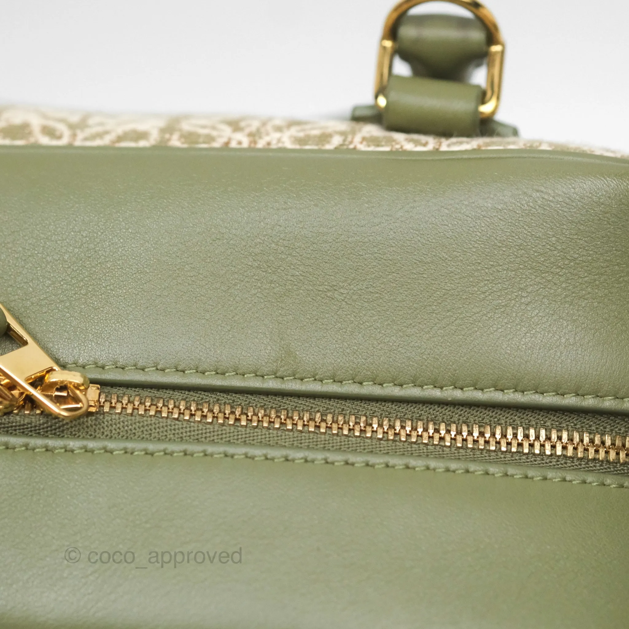 Loewe Amazona 19 Square Green/ Avocado Green in Anagram Jacquard and Calfskin