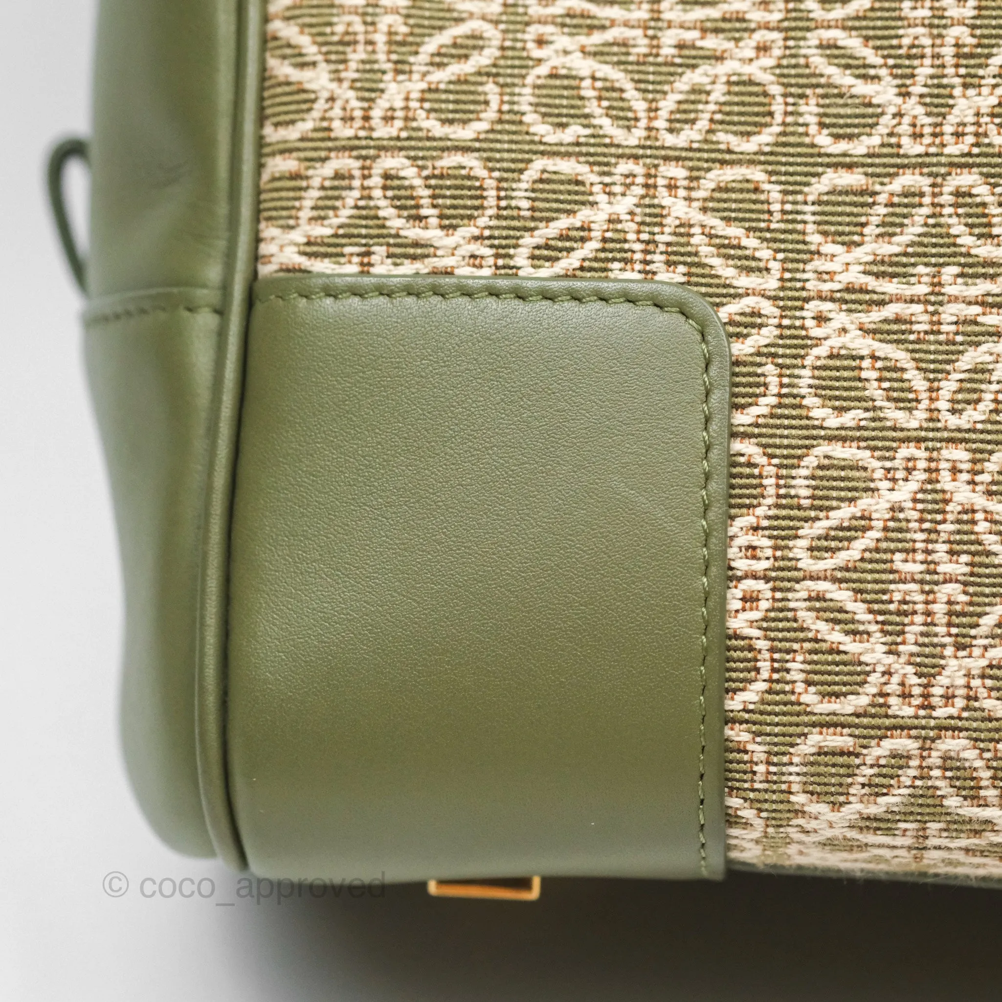 Loewe Amazona 19 Square Green/ Avocado Green in Anagram Jacquard and Calfskin