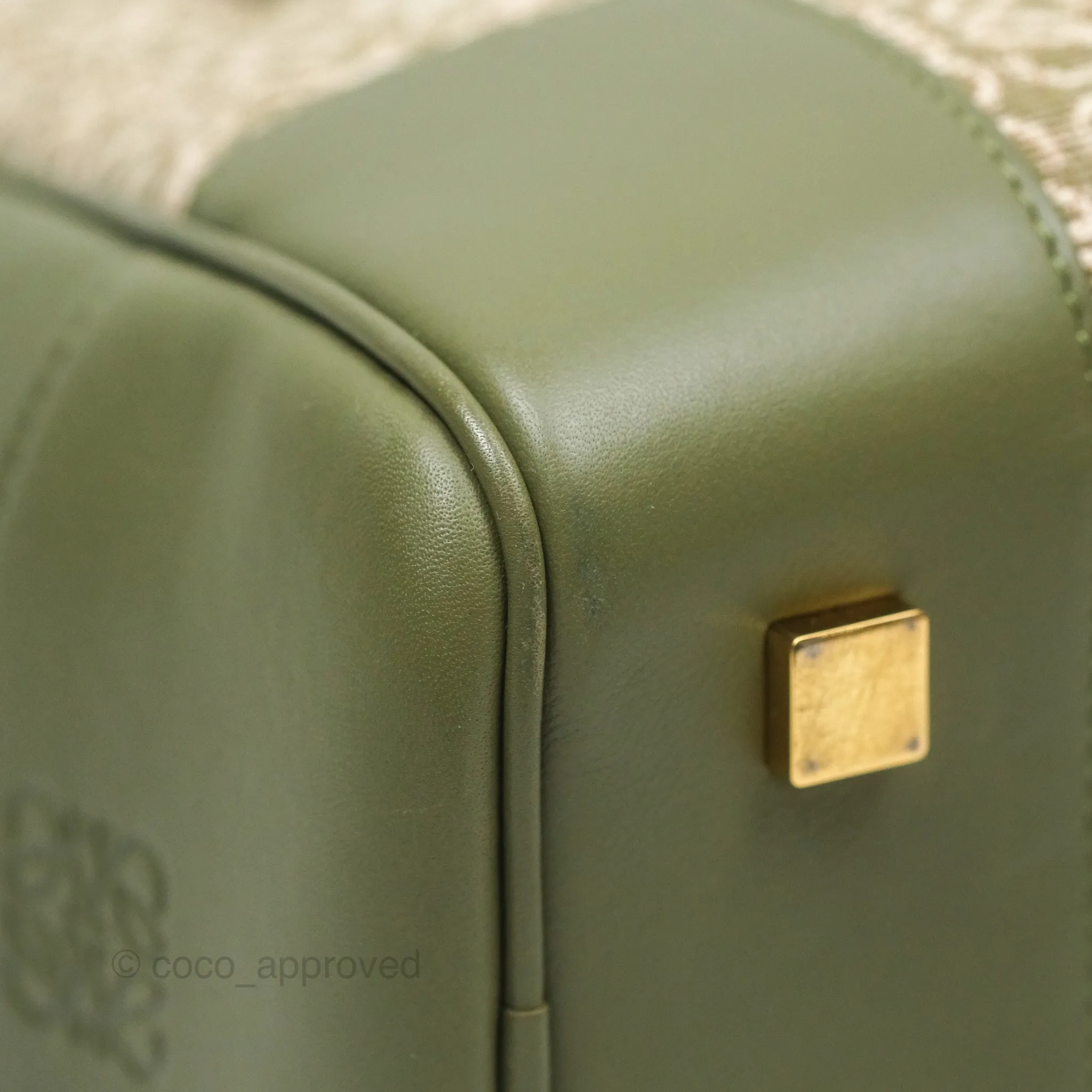 Loewe Amazona 19 Square Green/ Avocado Green in Anagram Jacquard and Calfskin