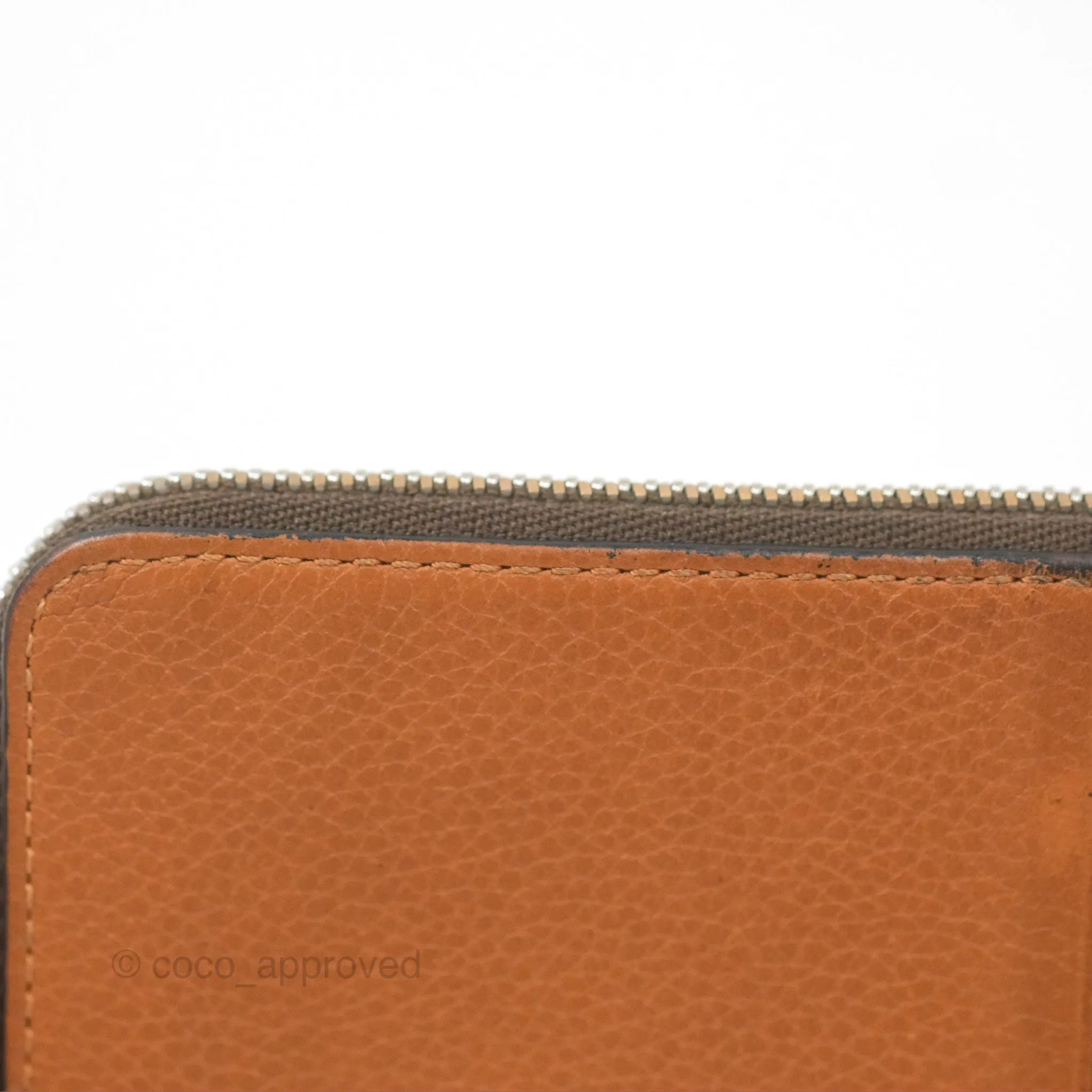Loewe Anagram Coin Card Holder Caramel/Pecan
