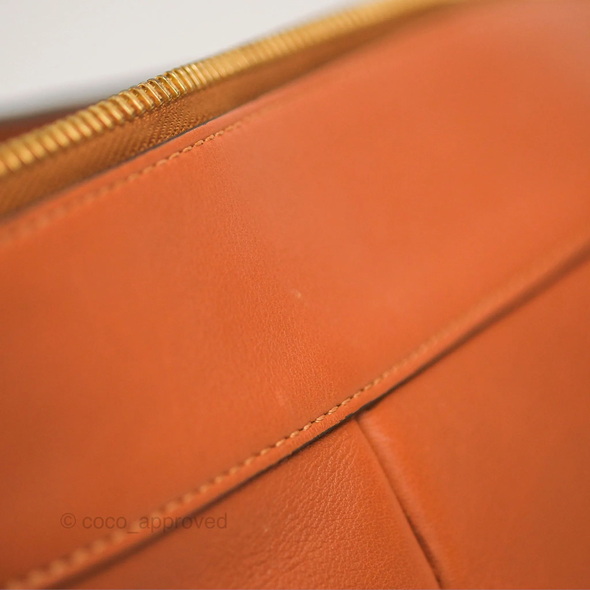 Loewe Large Fortune Hobo Tan Calfskin