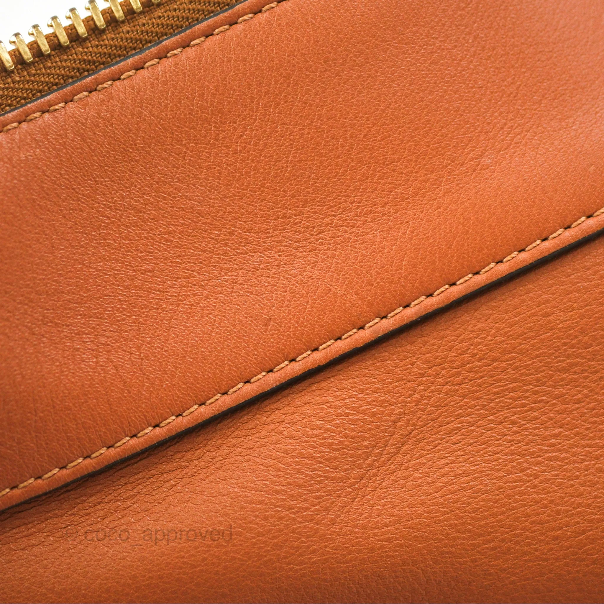Loewe Large Fortune Hobo Tan Calfskin