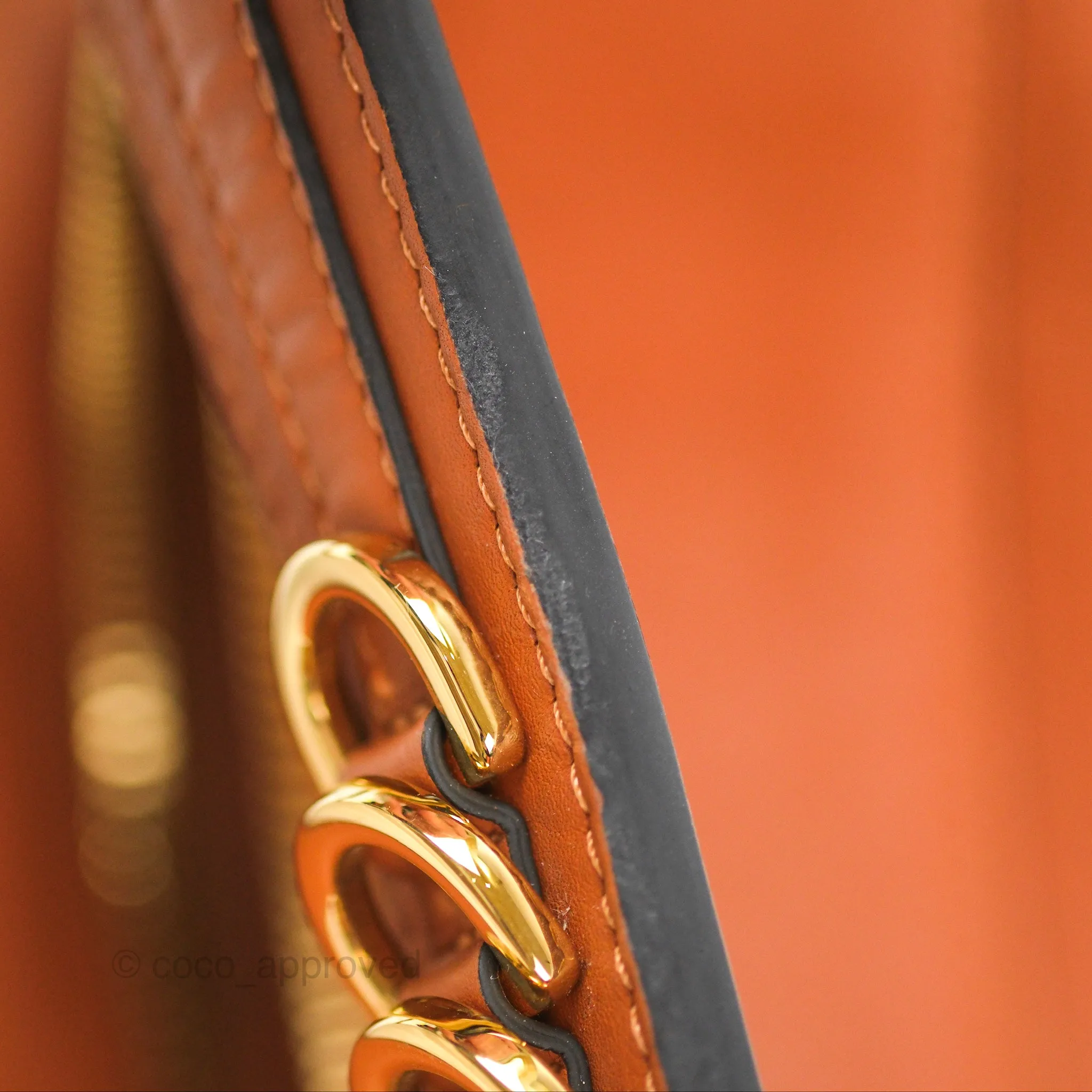 Loewe Large Fortune Hobo Tan Calfskin