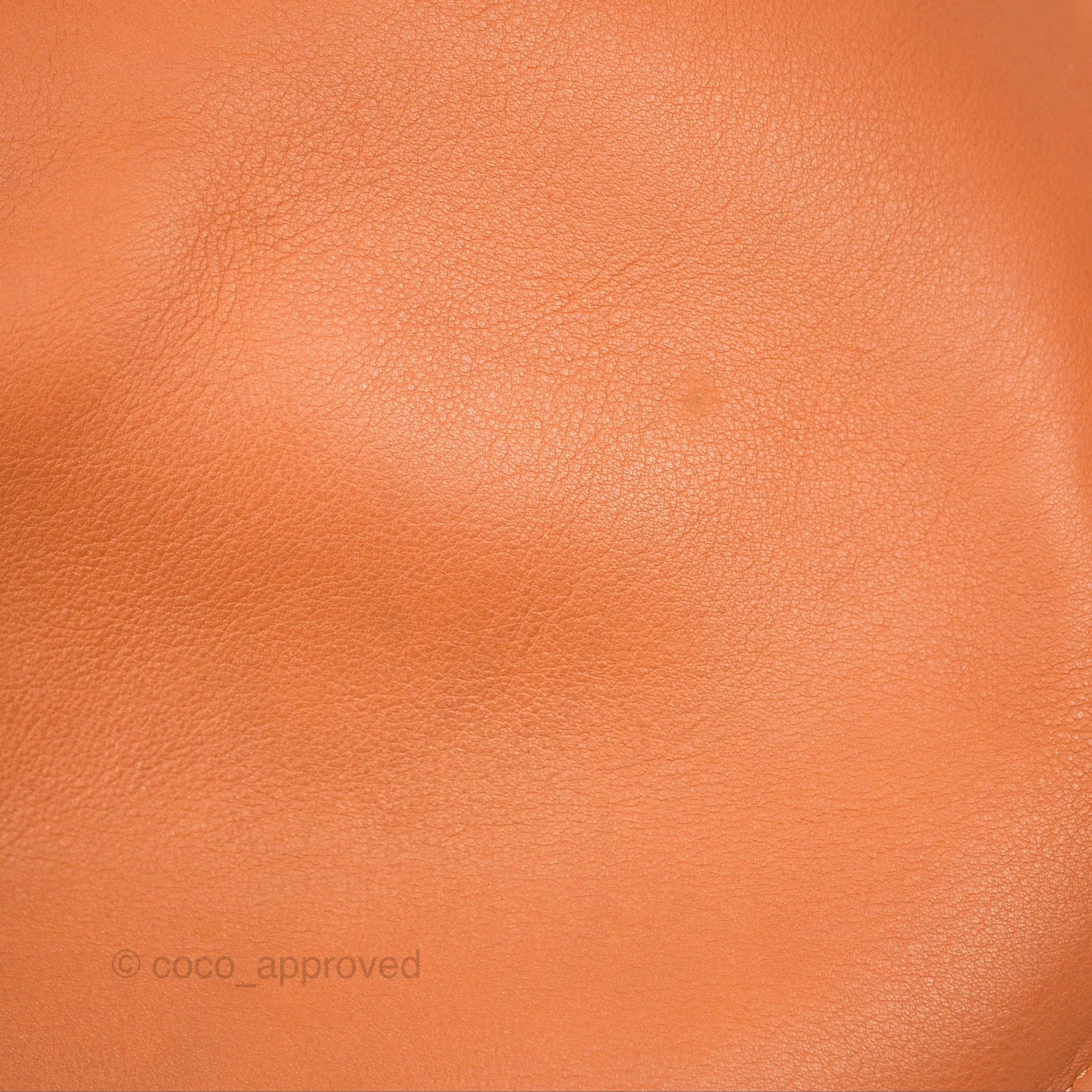 Loewe Large Fortune Hobo Tan Calfskin
