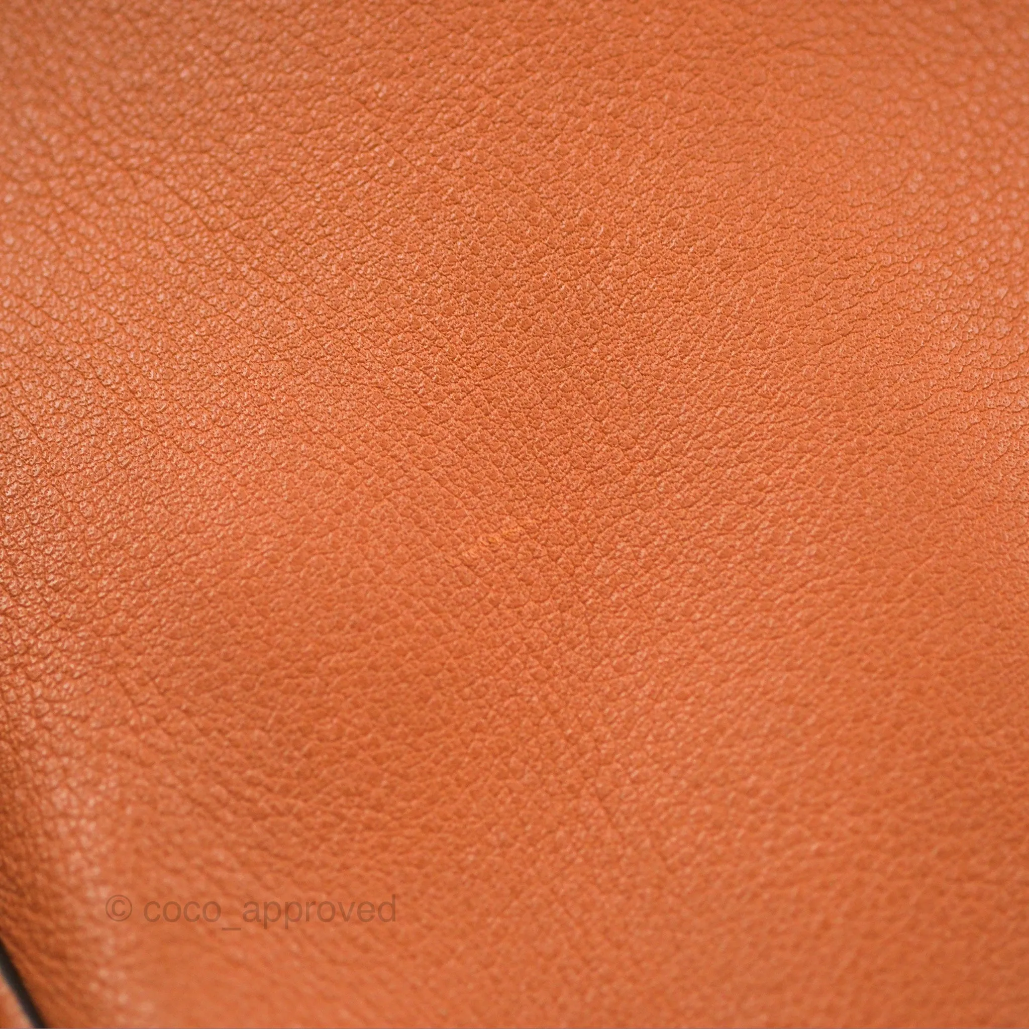 Loewe Large Fortune Hobo Tan Calfskin