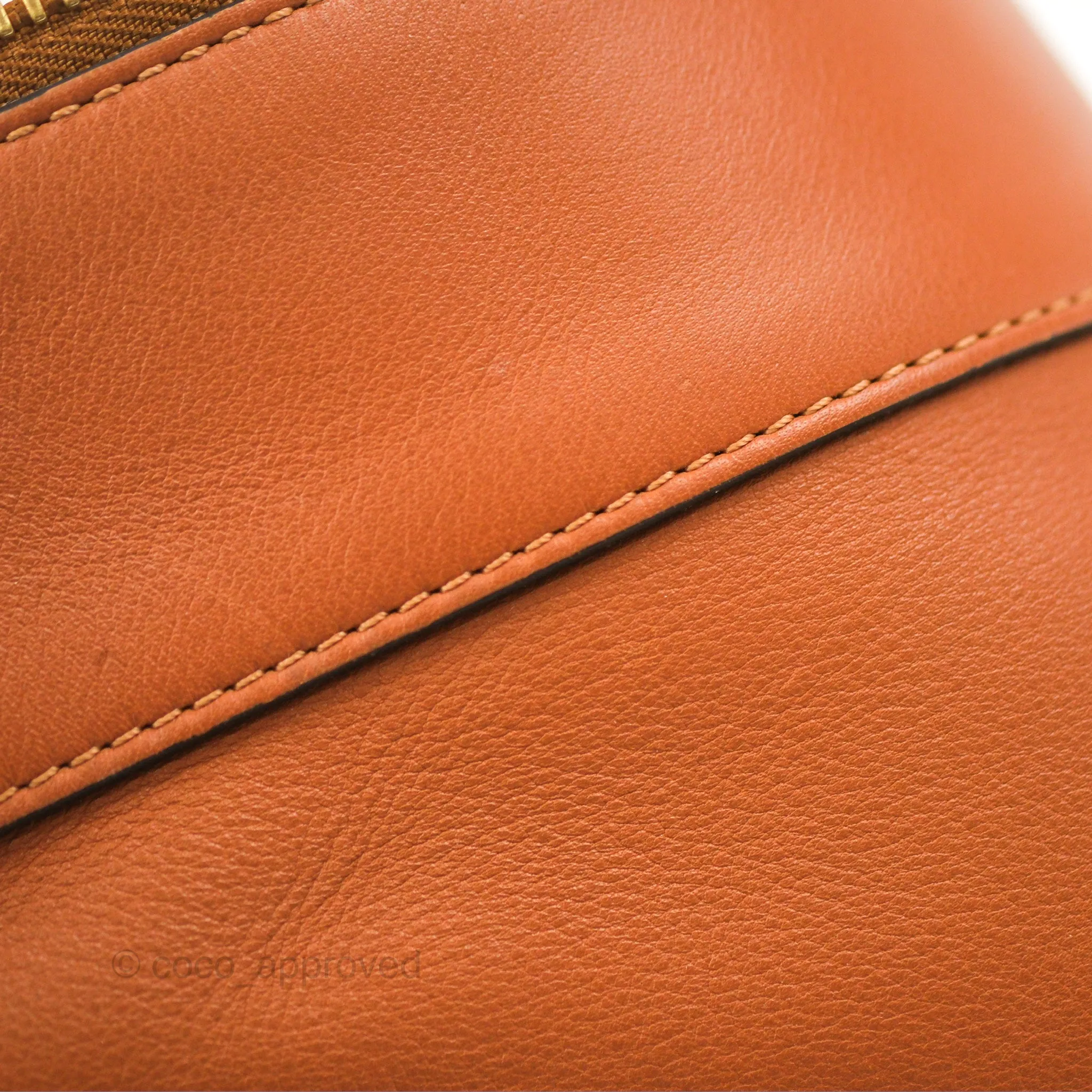 Loewe Large Fortune Hobo Tan Calfskin