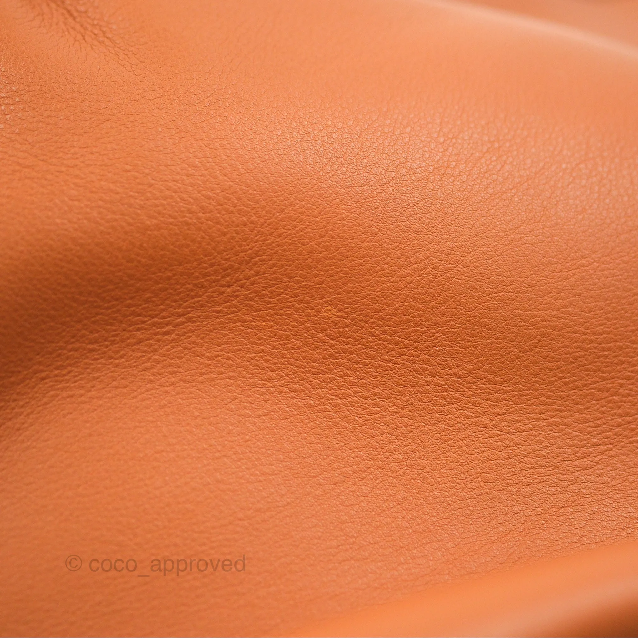 Loewe Large Fortune Hobo Tan Calfskin