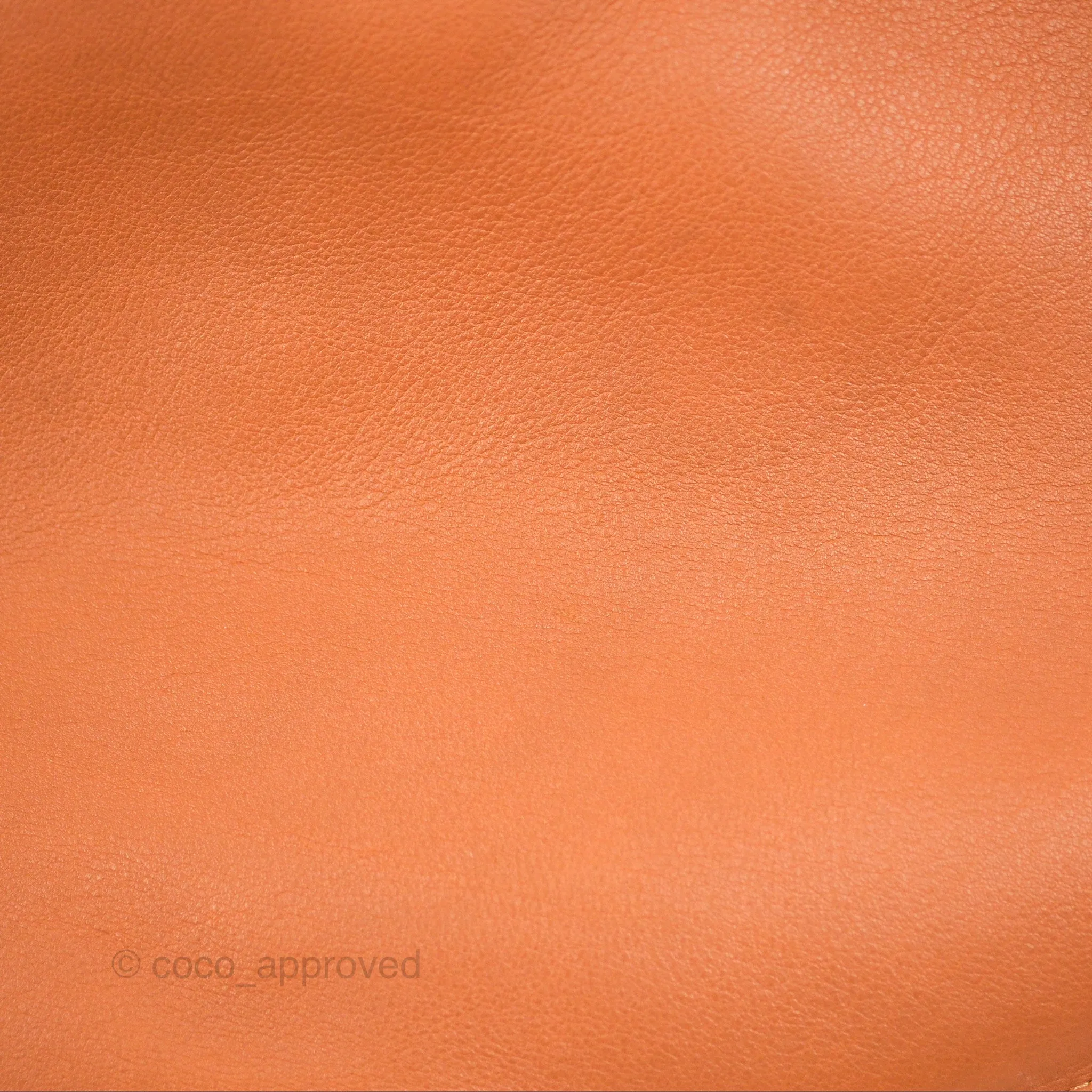 Loewe Large Fortune Hobo Tan Calfskin