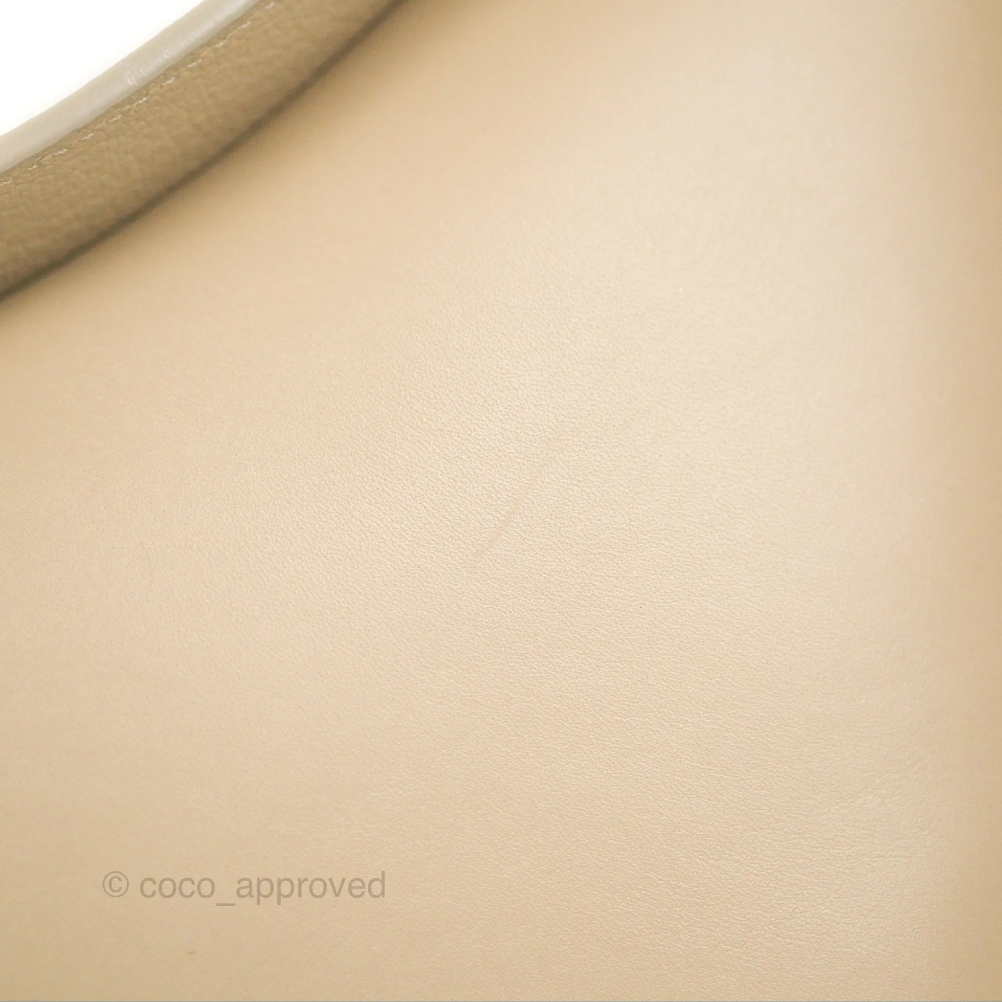 Loewe Luna Shoulder Bag Light Oat Calfskin