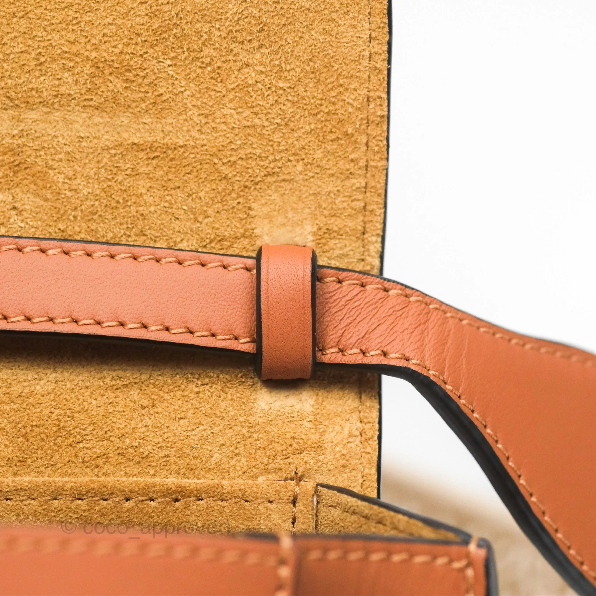 Loewe Mini Gate Dual Bag in Soft Calfskin & Jacquard Strap Tan