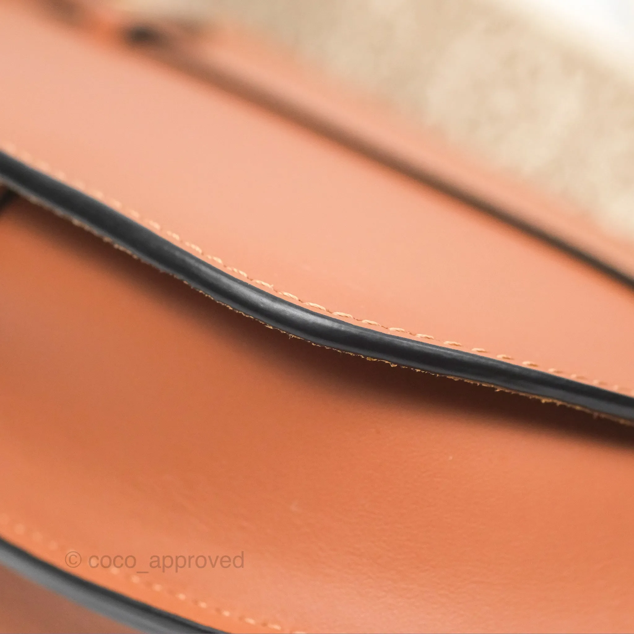 Loewe Mini Gate Dual Bag in Soft Calfskin & Jacquard Strap Tan
