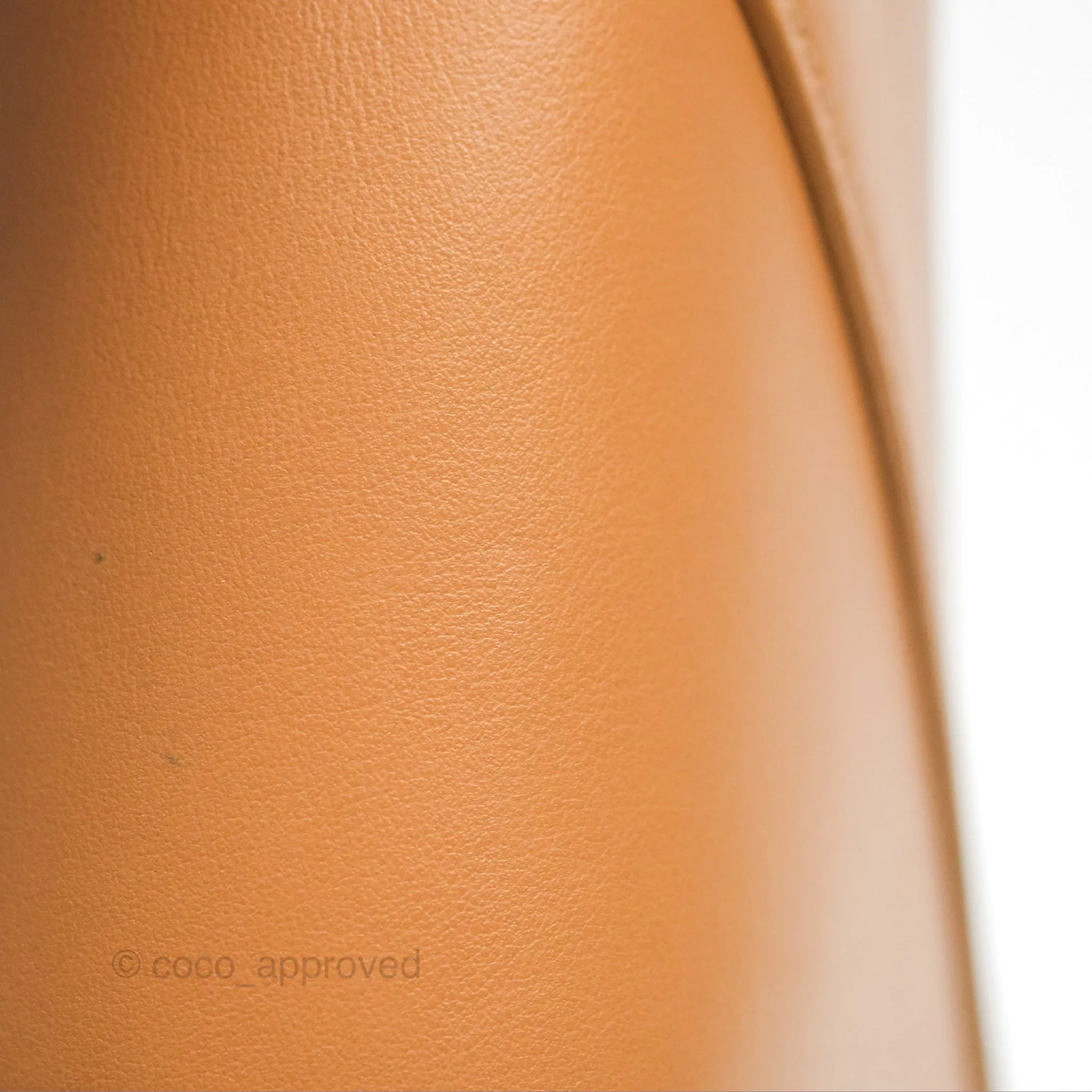 Loewe Mini Puzzle Fold Tote In Shiny Calfskin Warm Desert