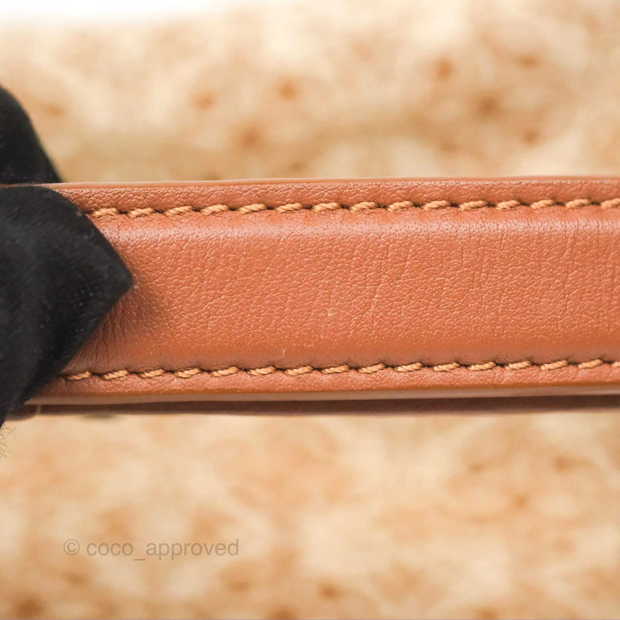 Loewe Small Cubi bag in Anagram Jacquard & Calfskin Tan Pecan