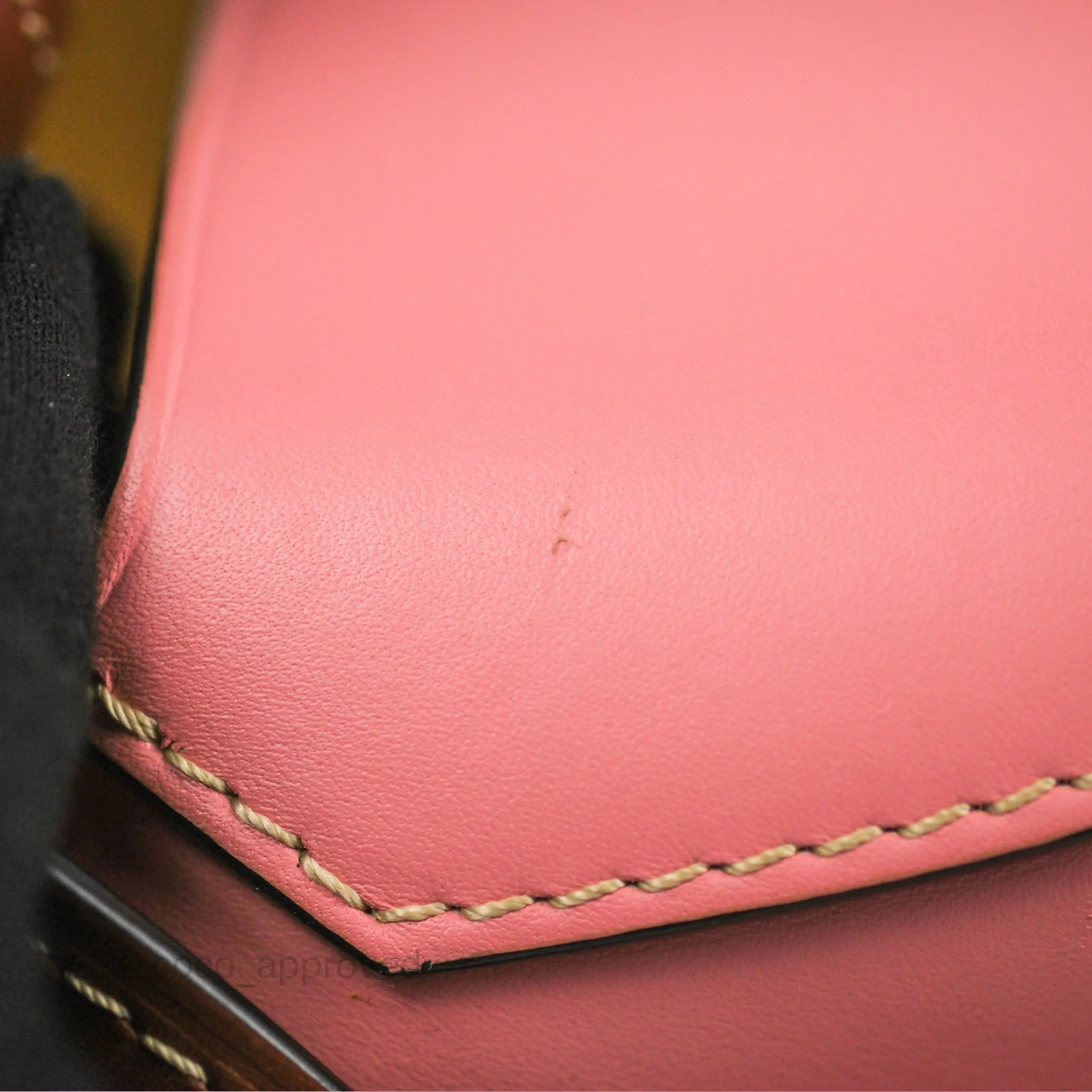 Loewe Small Gate Bag Smooth Calfskin in Tan/Pink