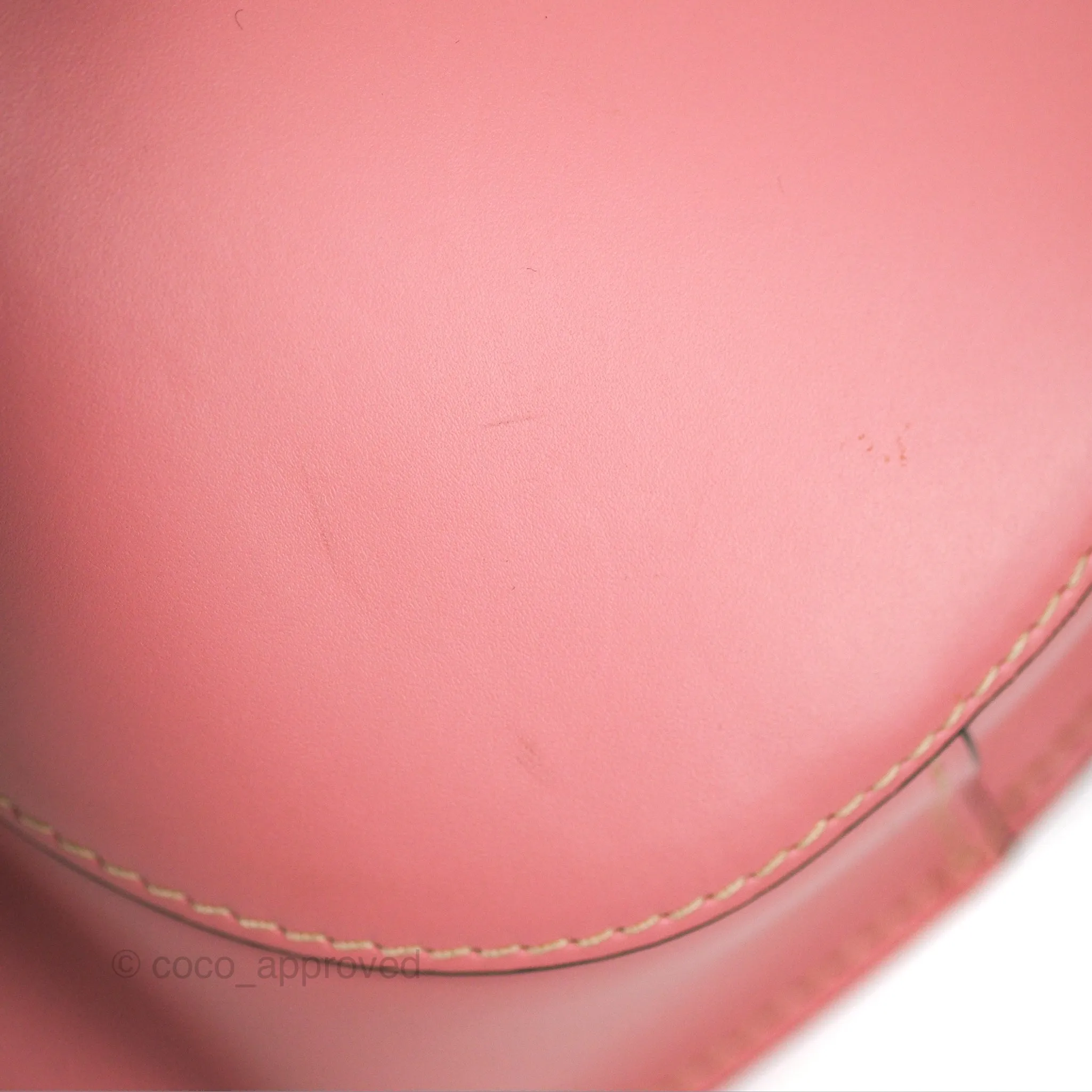 Loewe Small Gate Bag Smooth Calfskin in Tan/Pink