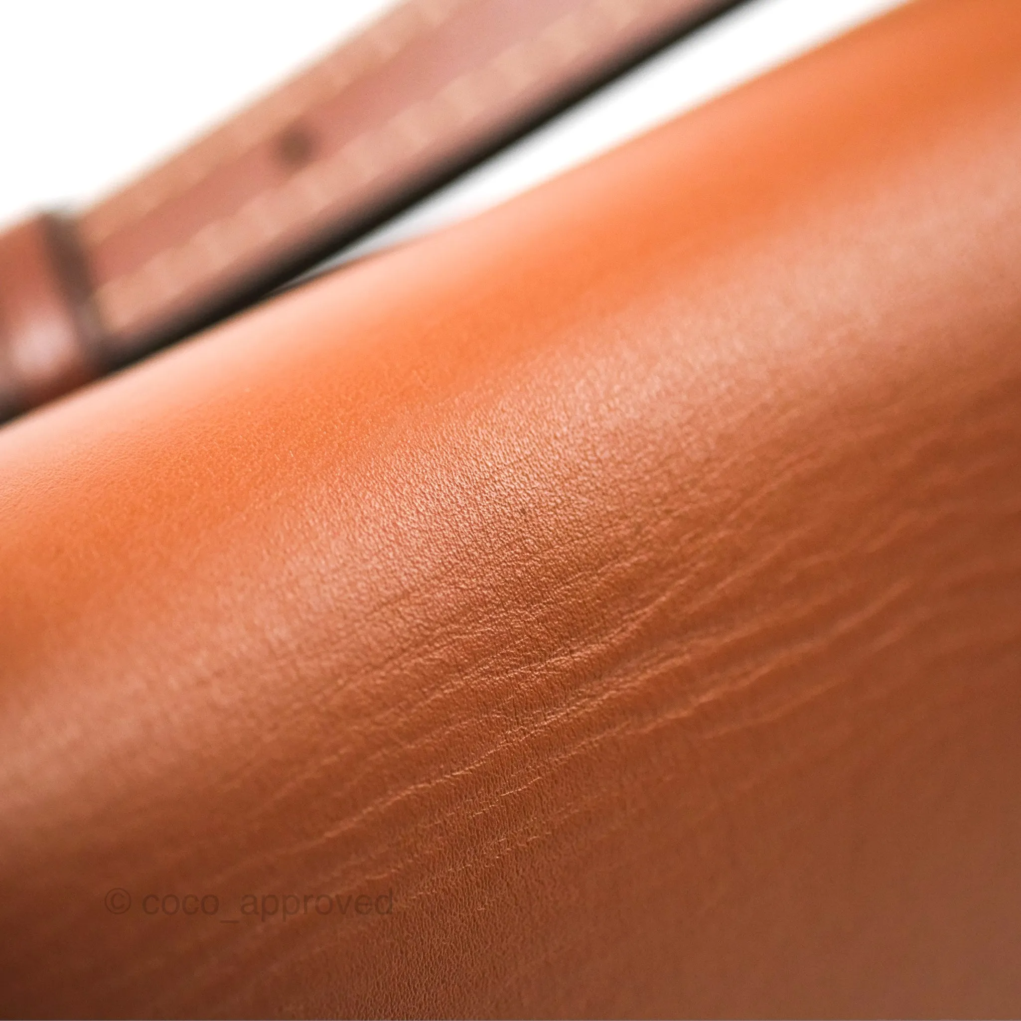 Loewe Small Gate Bag Smooth Calfskin in Tan/Pink