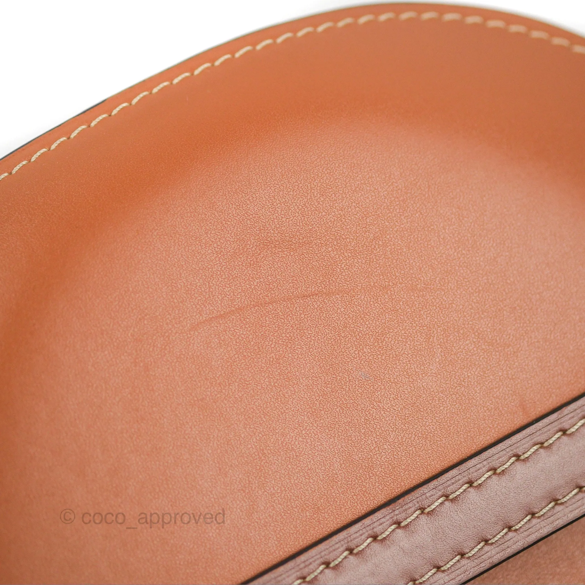 Loewe Small Gate Bag Smooth Calfskin in Tan/Pink