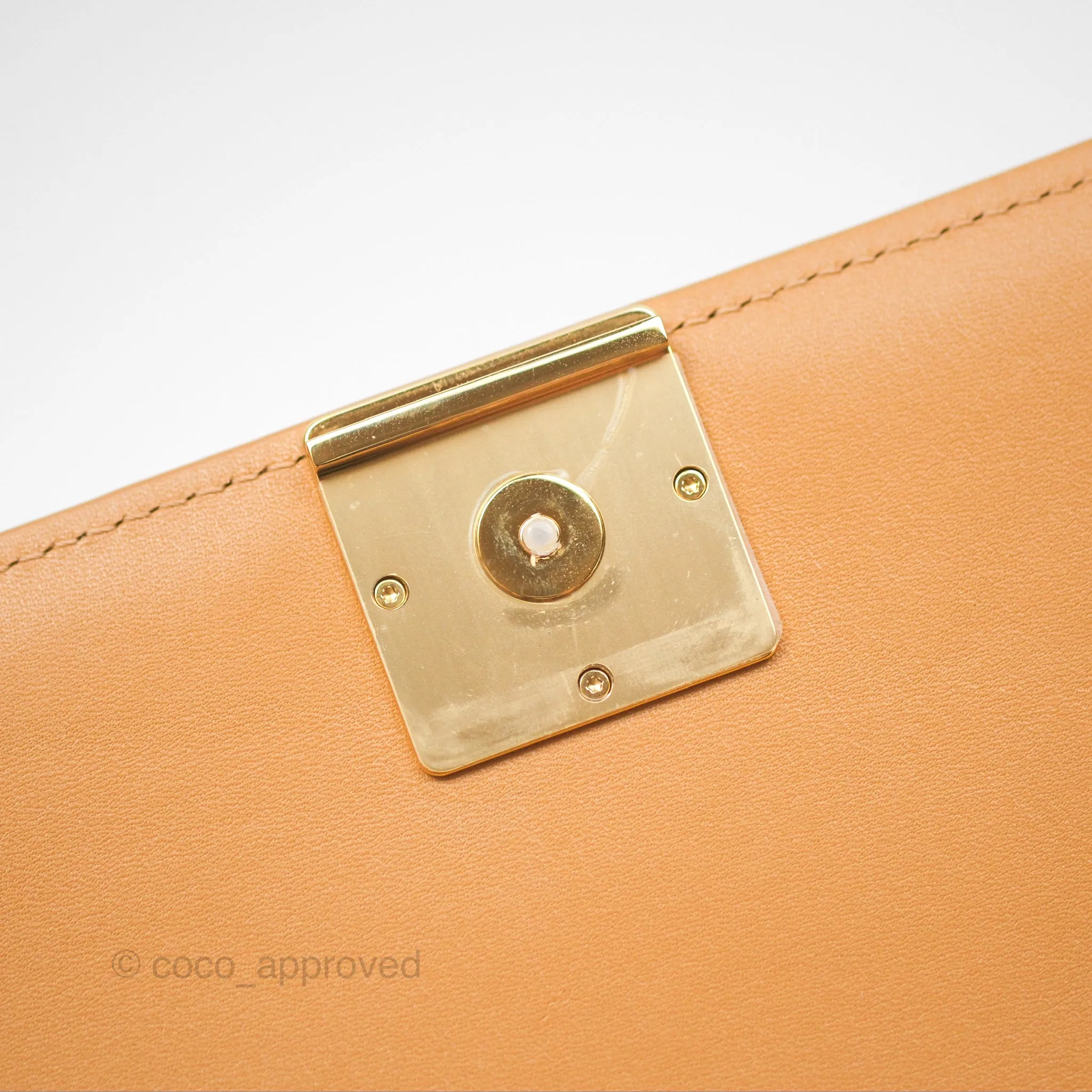Loewe Small Goya Bag Warm Desert Silk Calfskin