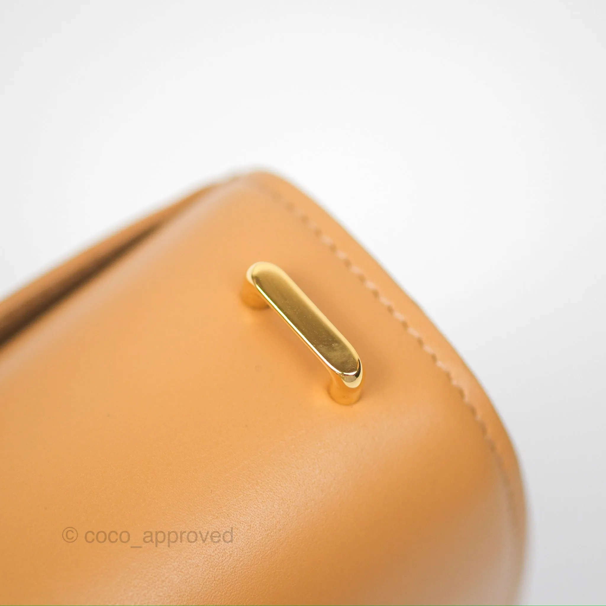 Loewe Small Goya Bag Warm Desert Silk Calfskin