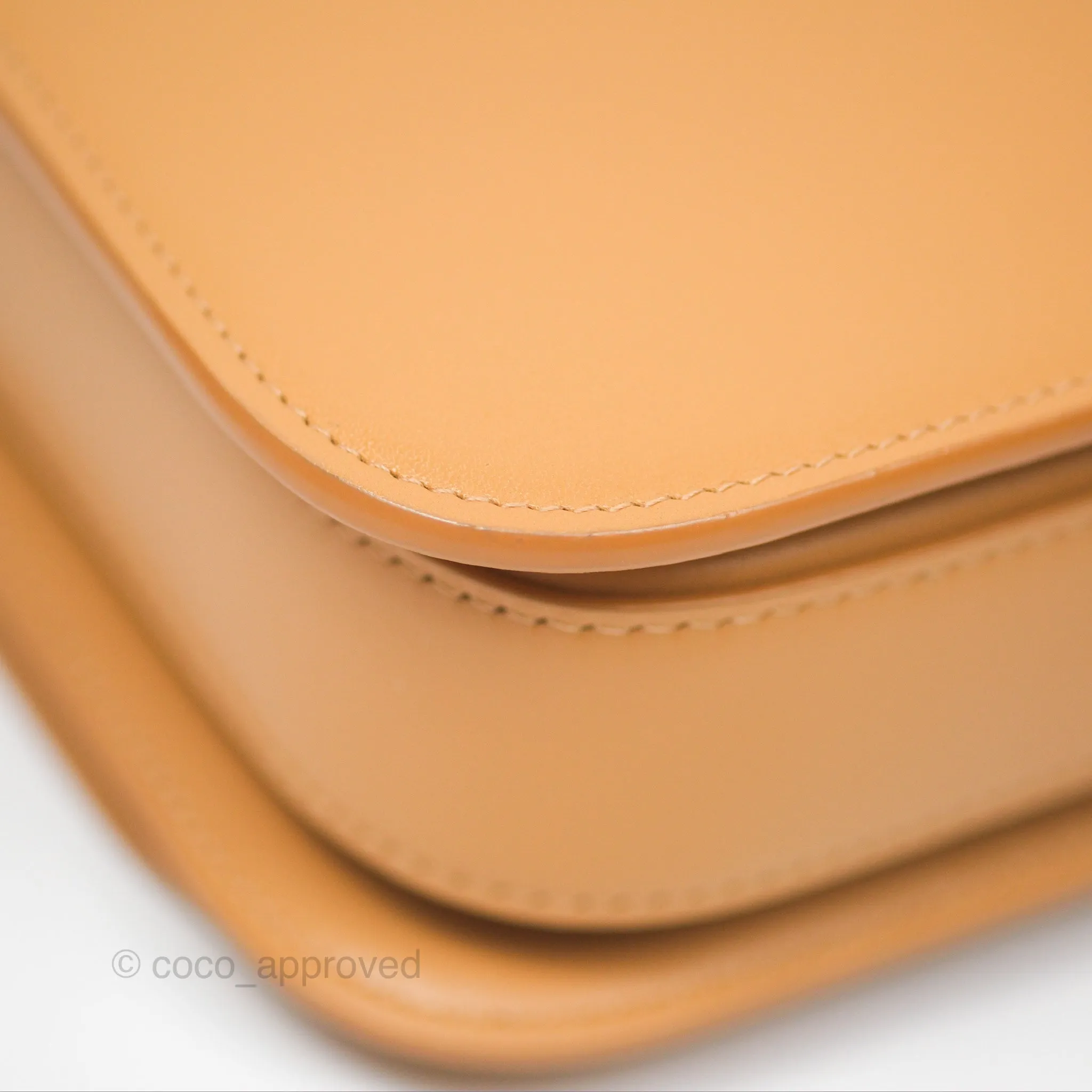 Loewe Small Goya Bag Warm Desert Silk Calfskin