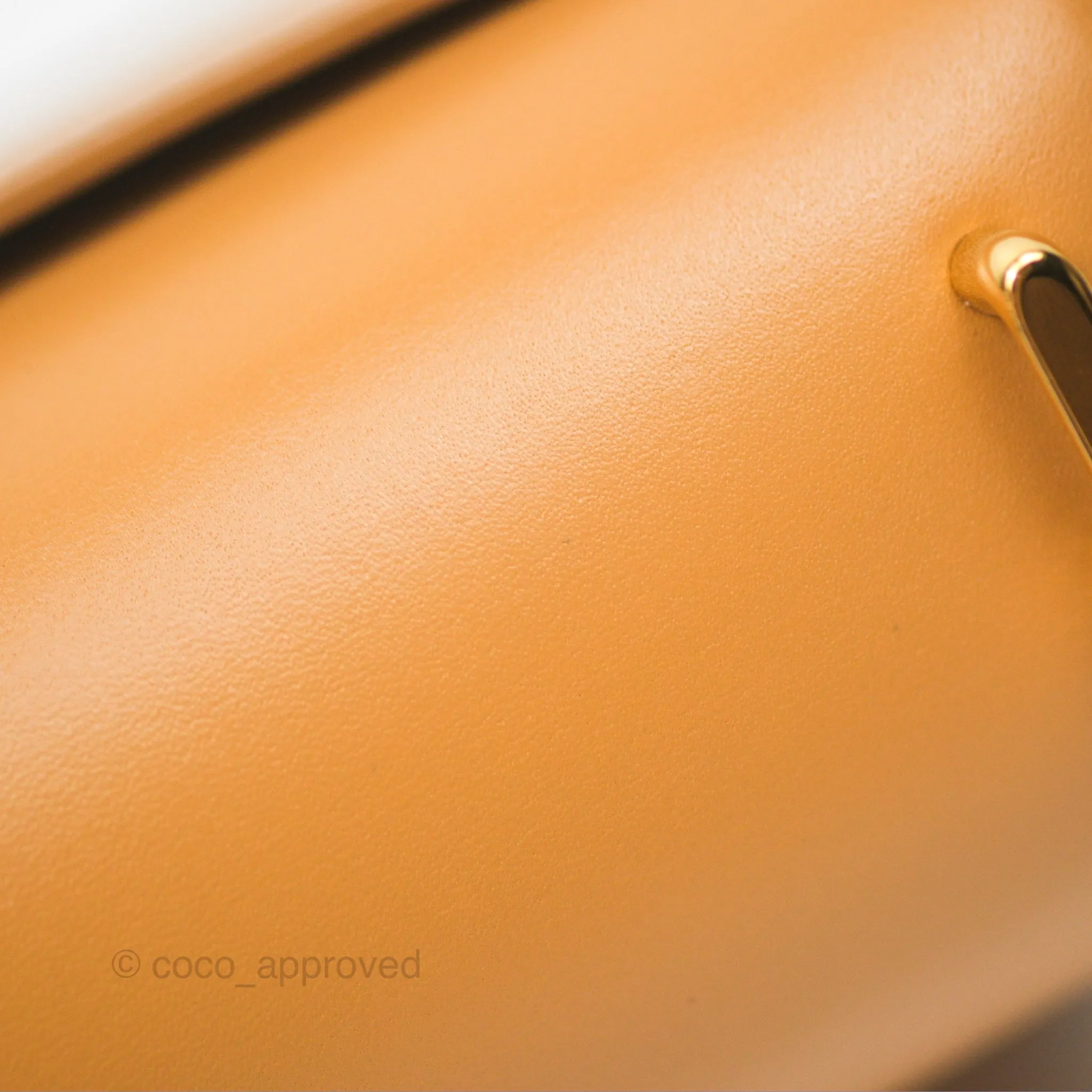 Loewe Small Goya Bag Warm Desert Silk Calfskin