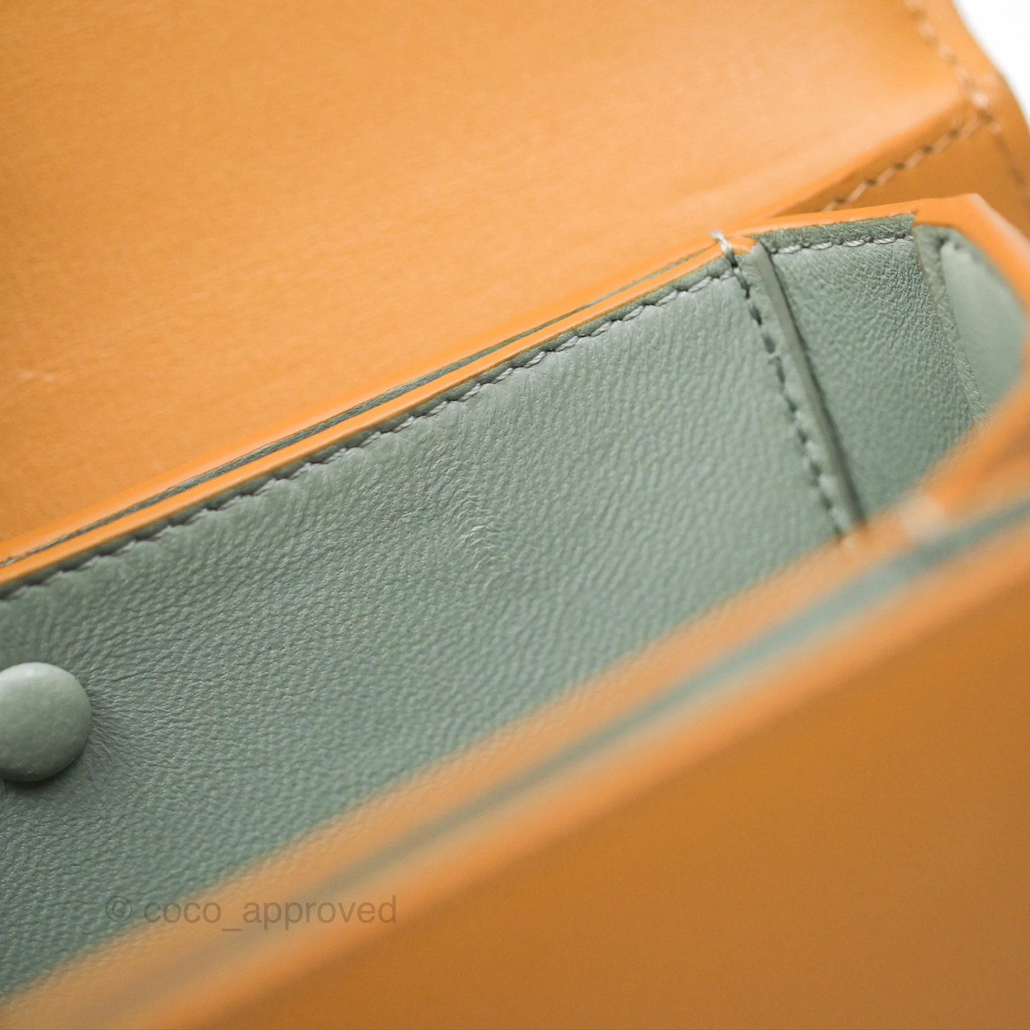 Loewe Small Goya Bag Warm Desert Silk Calfskin