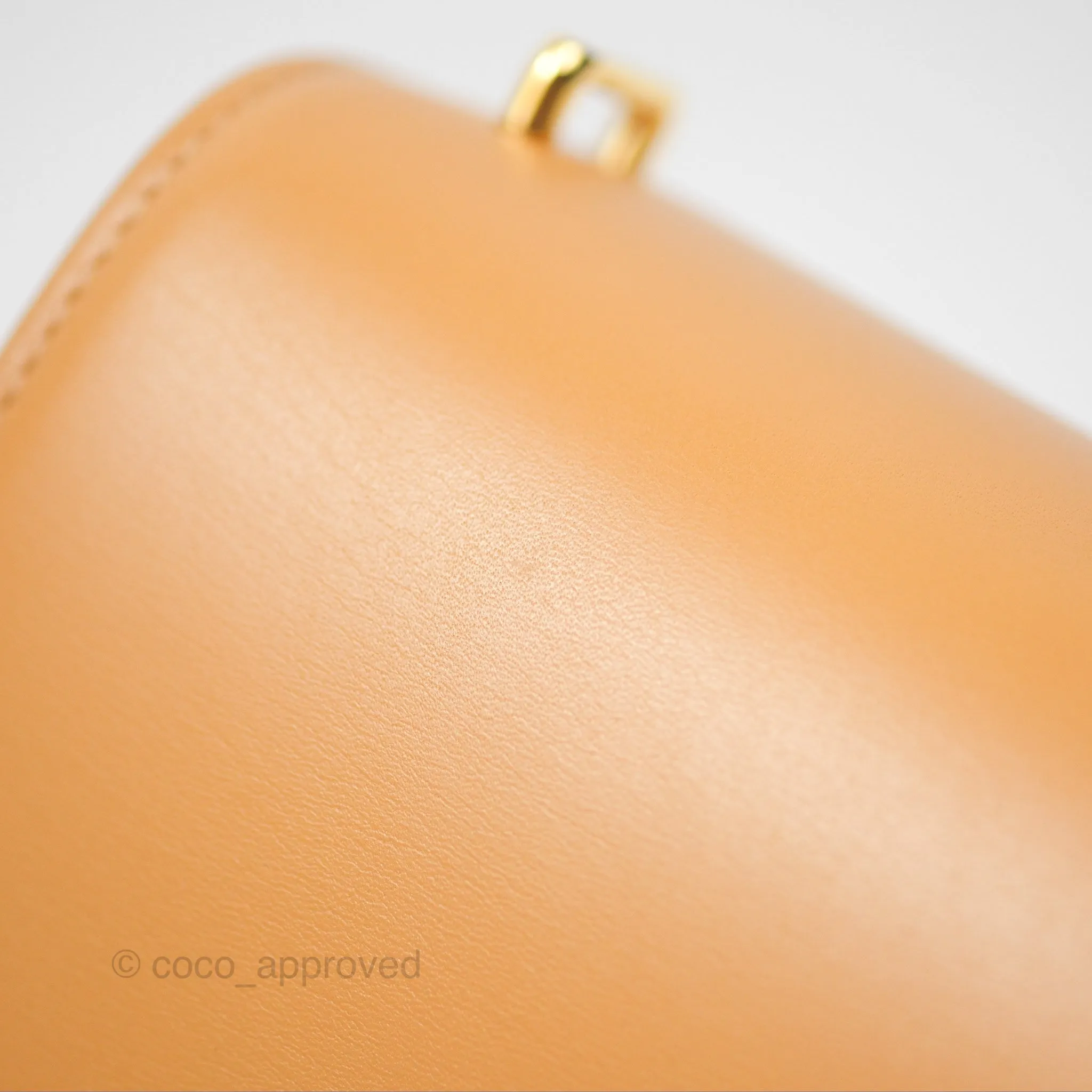 Loewe Small Goya Bag Warm Desert Silk Calfskin