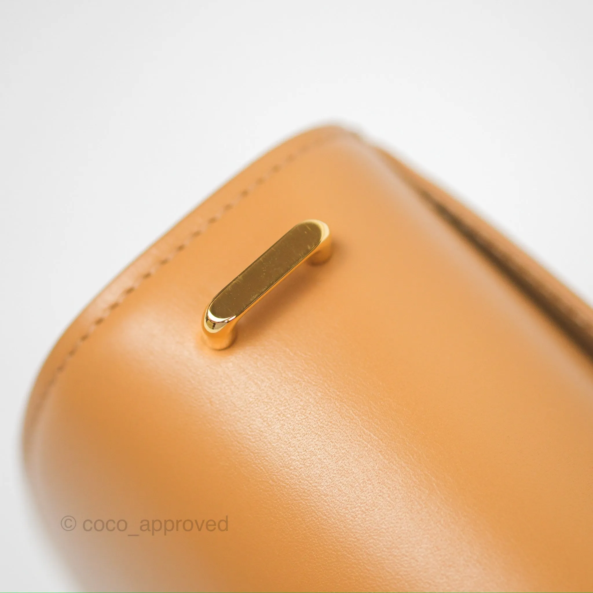 Loewe Small Goya Bag Warm Desert Silk Calfskin
